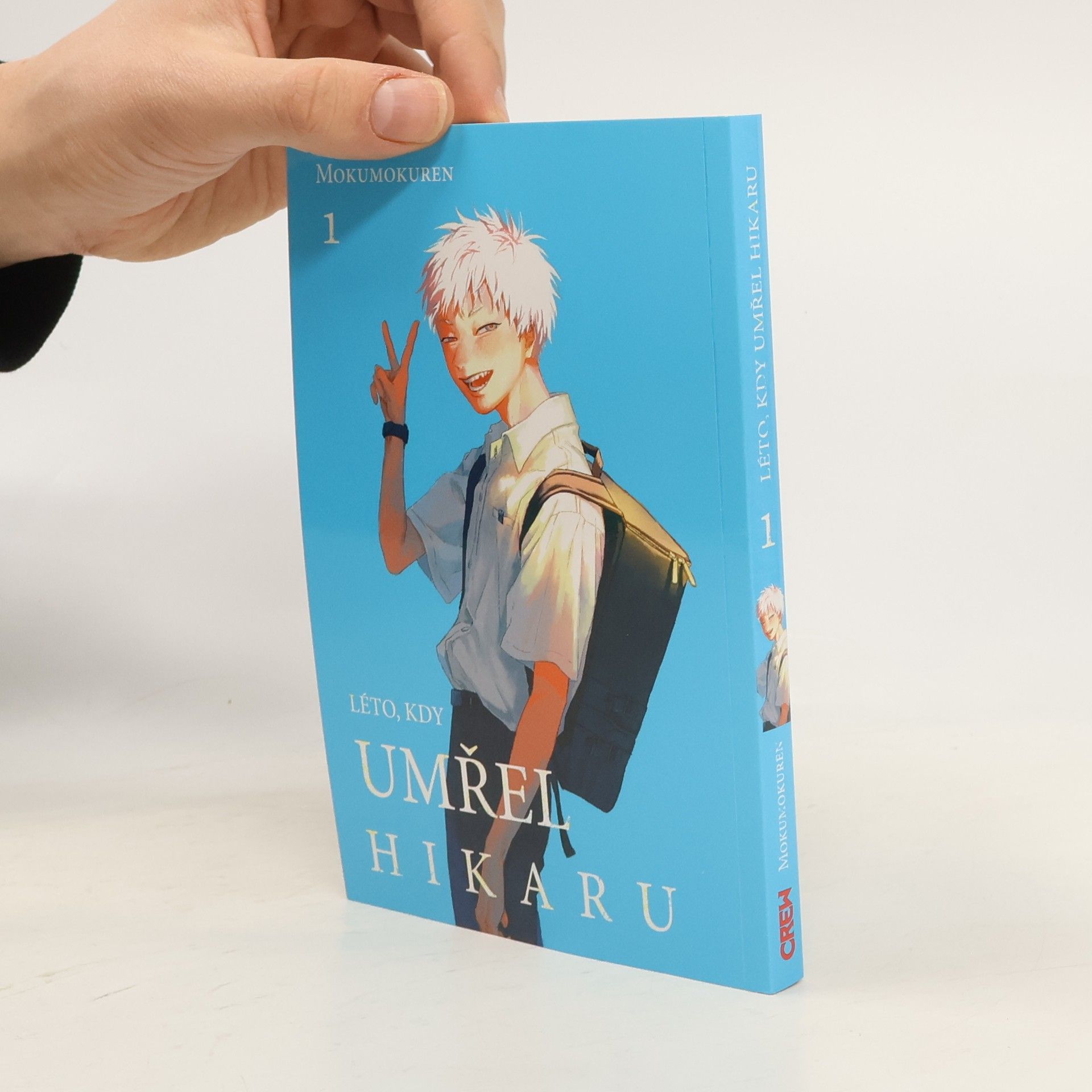 Anna Křivánková Léto, kdy umřel Hikaru 1