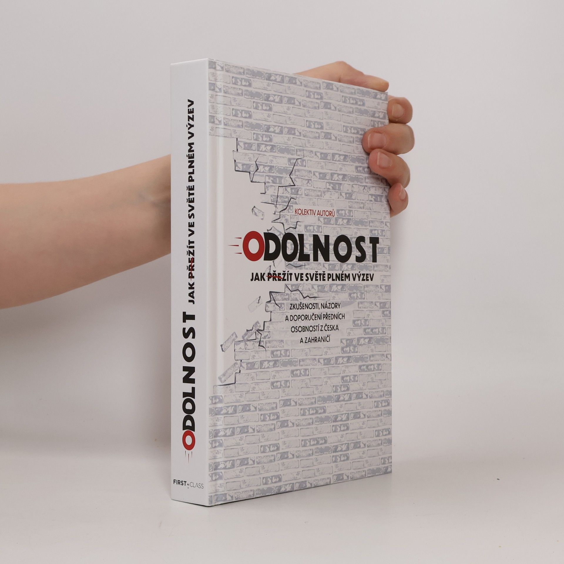 Kolektiv autorů Odolnost