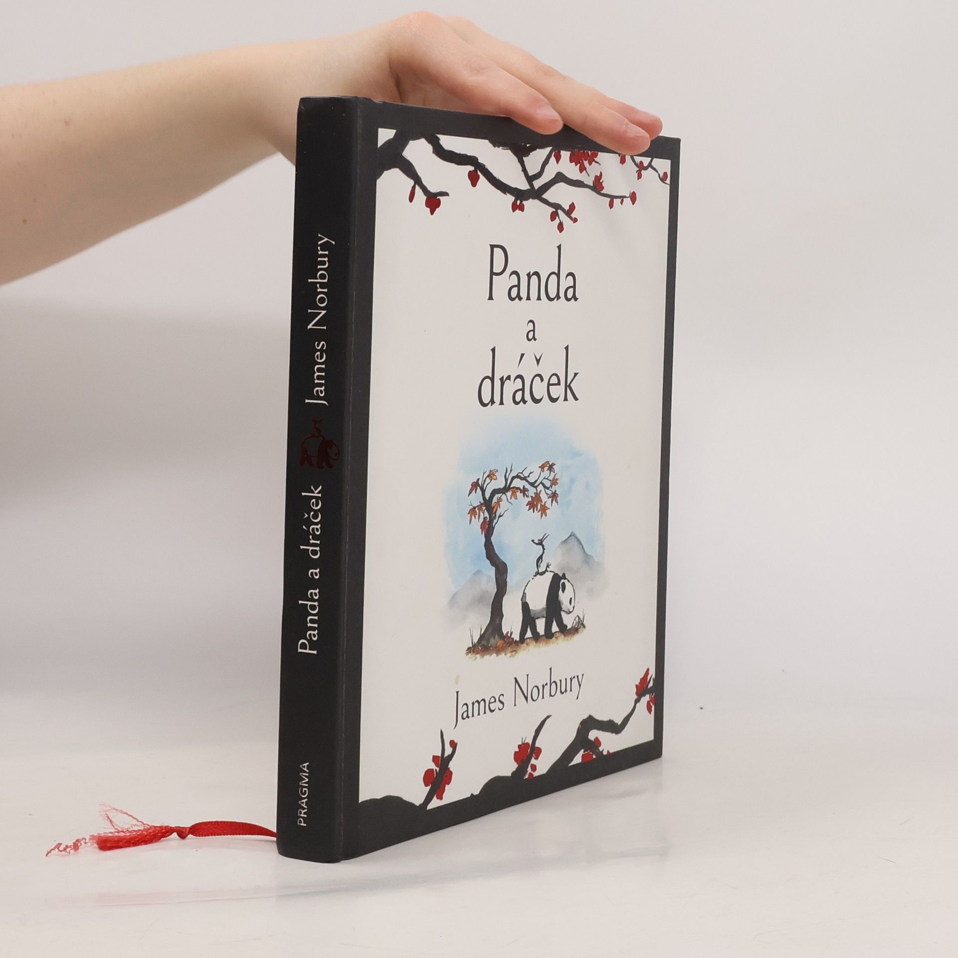 James Norbury Panda a dráček