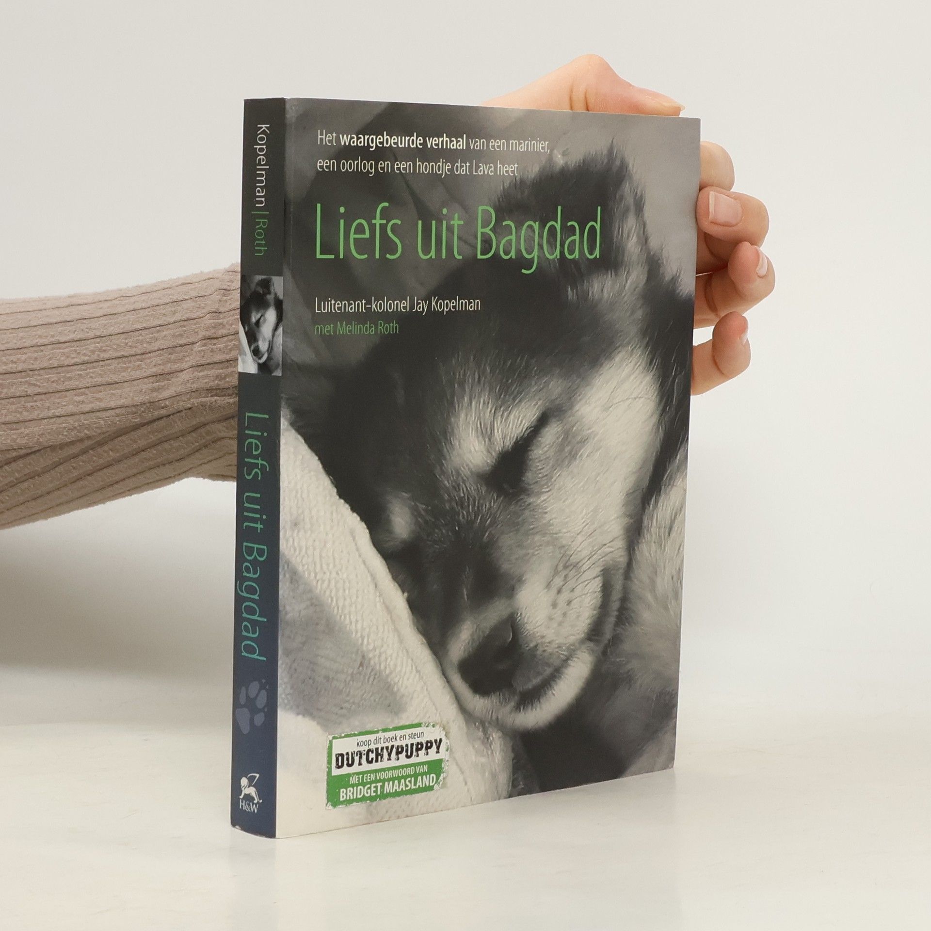 Jay Kopelman Liefs uit Bagdad