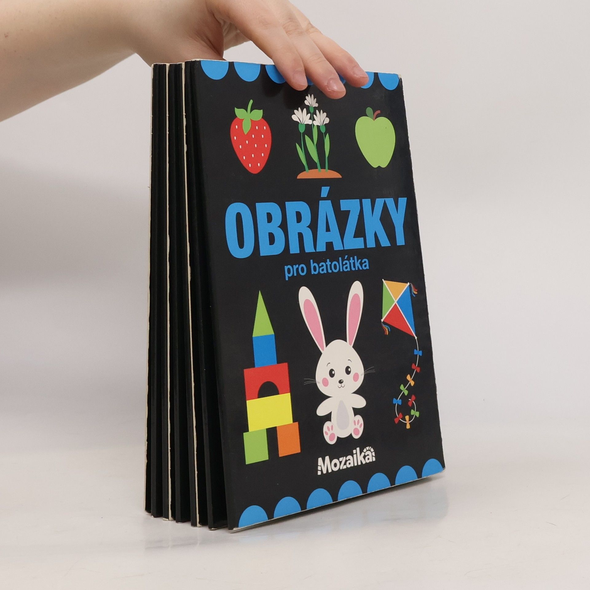 Kolektiv autorů Obrázky pro batolátka