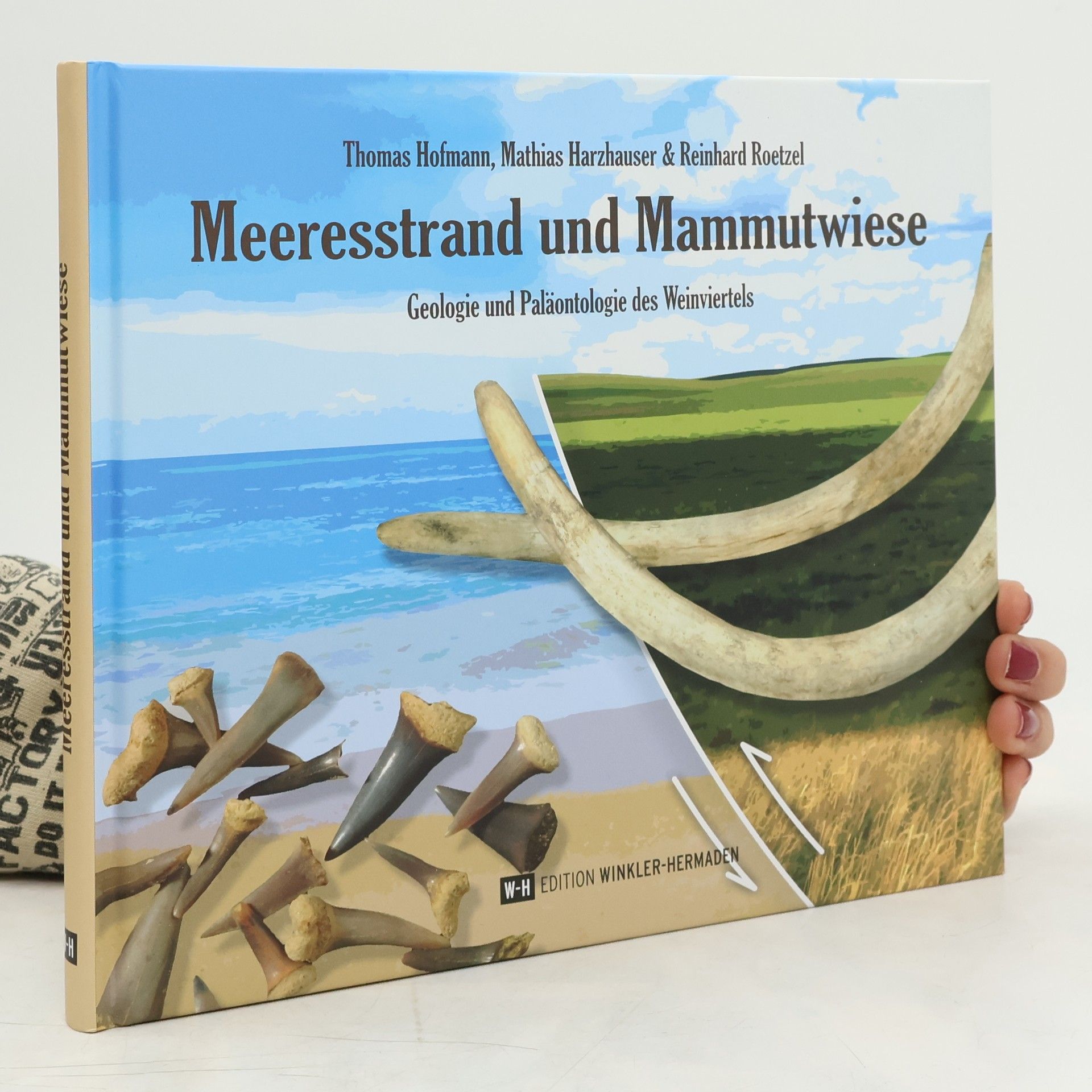 Meeresstrand und Mammutwiese