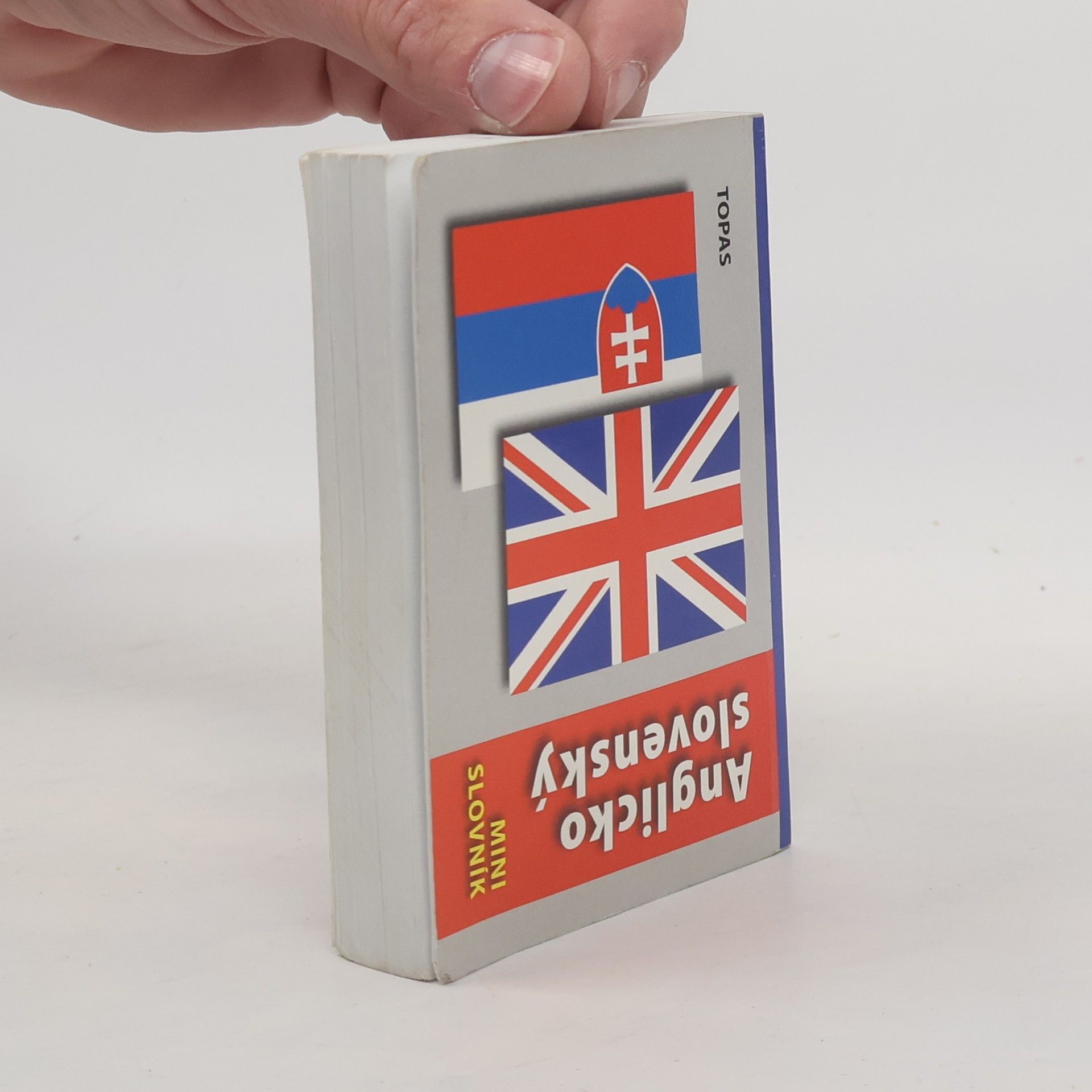 Collectif d'auteurs Anglicko-slovenský minislovník