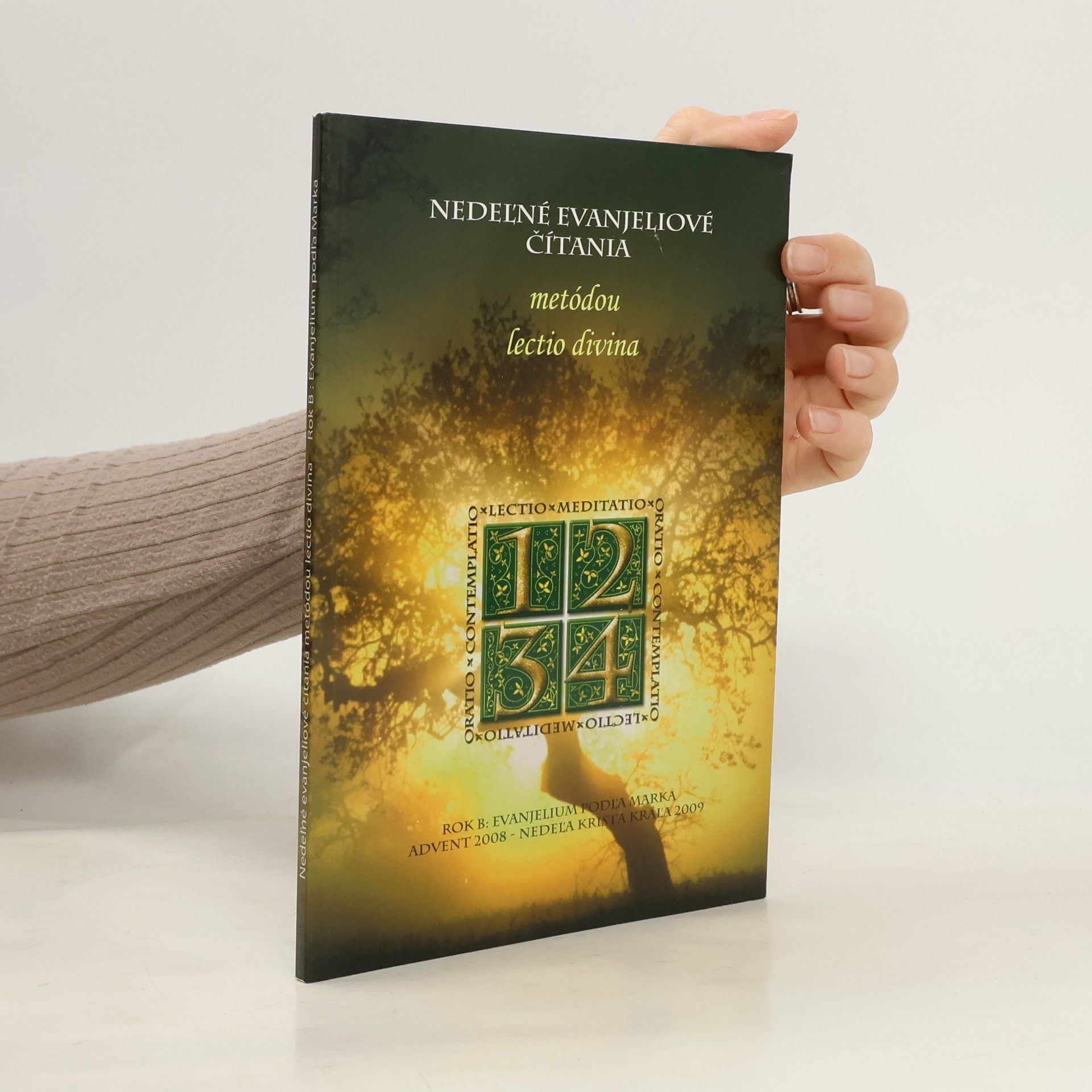 Autores varios Nedeľné evanjeliové čítania metódou lectio divina. Rok B