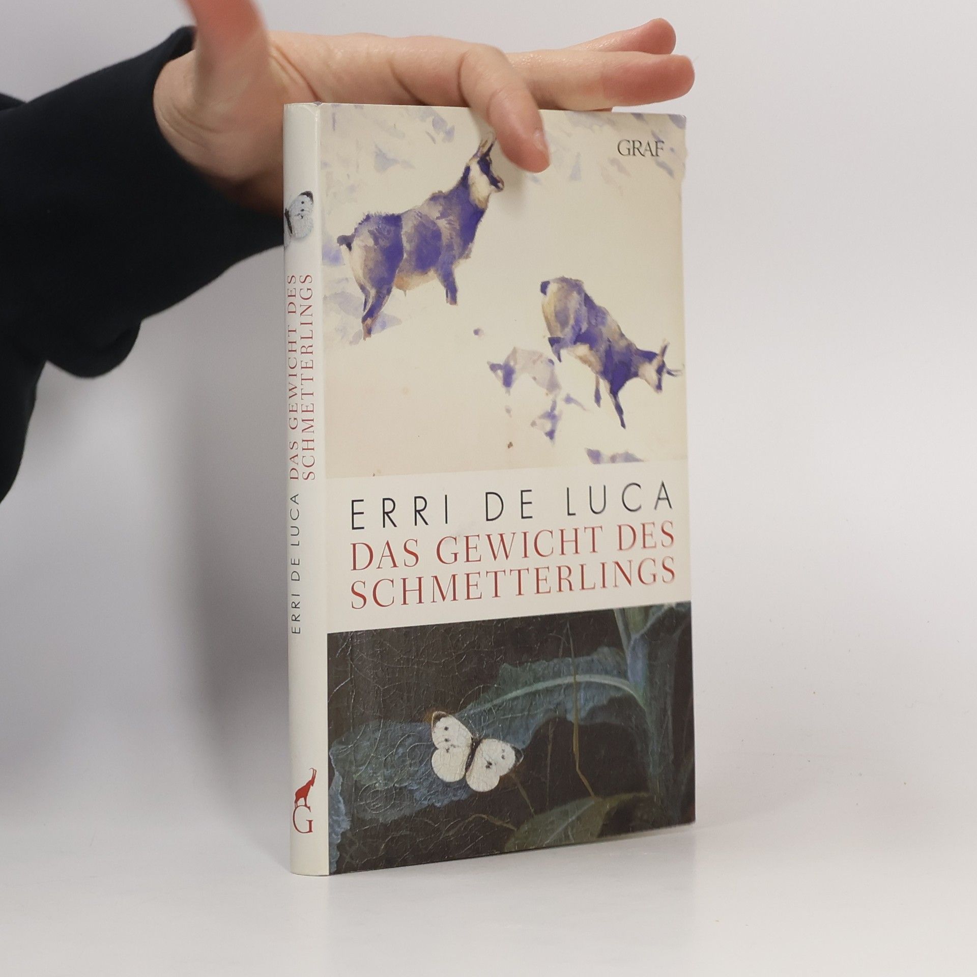 Erri De Luca Das Gewicht des Schmetterlings