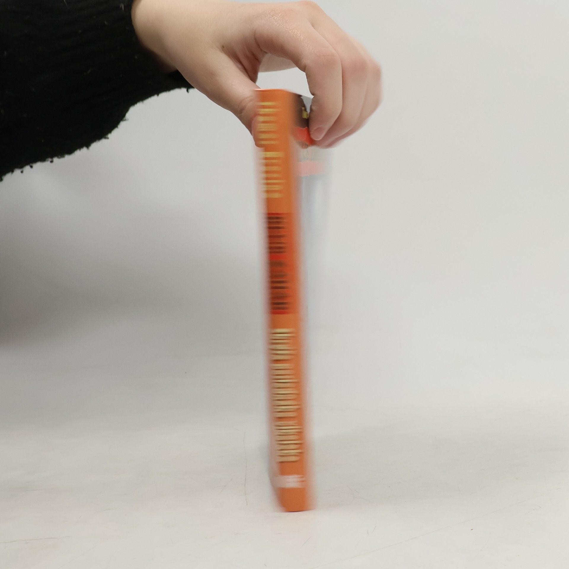 Thomas Brezina Skrýša posledného vlkolaka