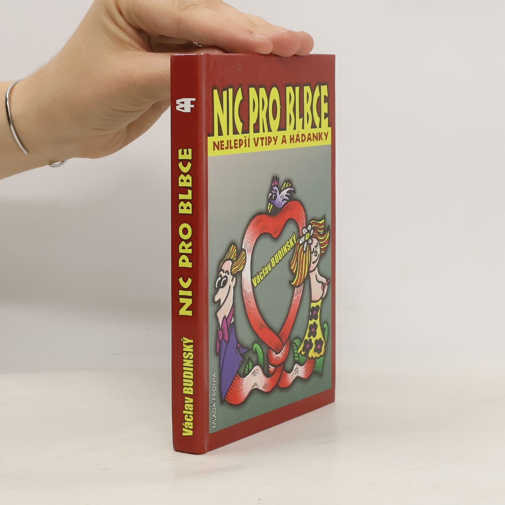 Václav Budinský Nic pro blbce