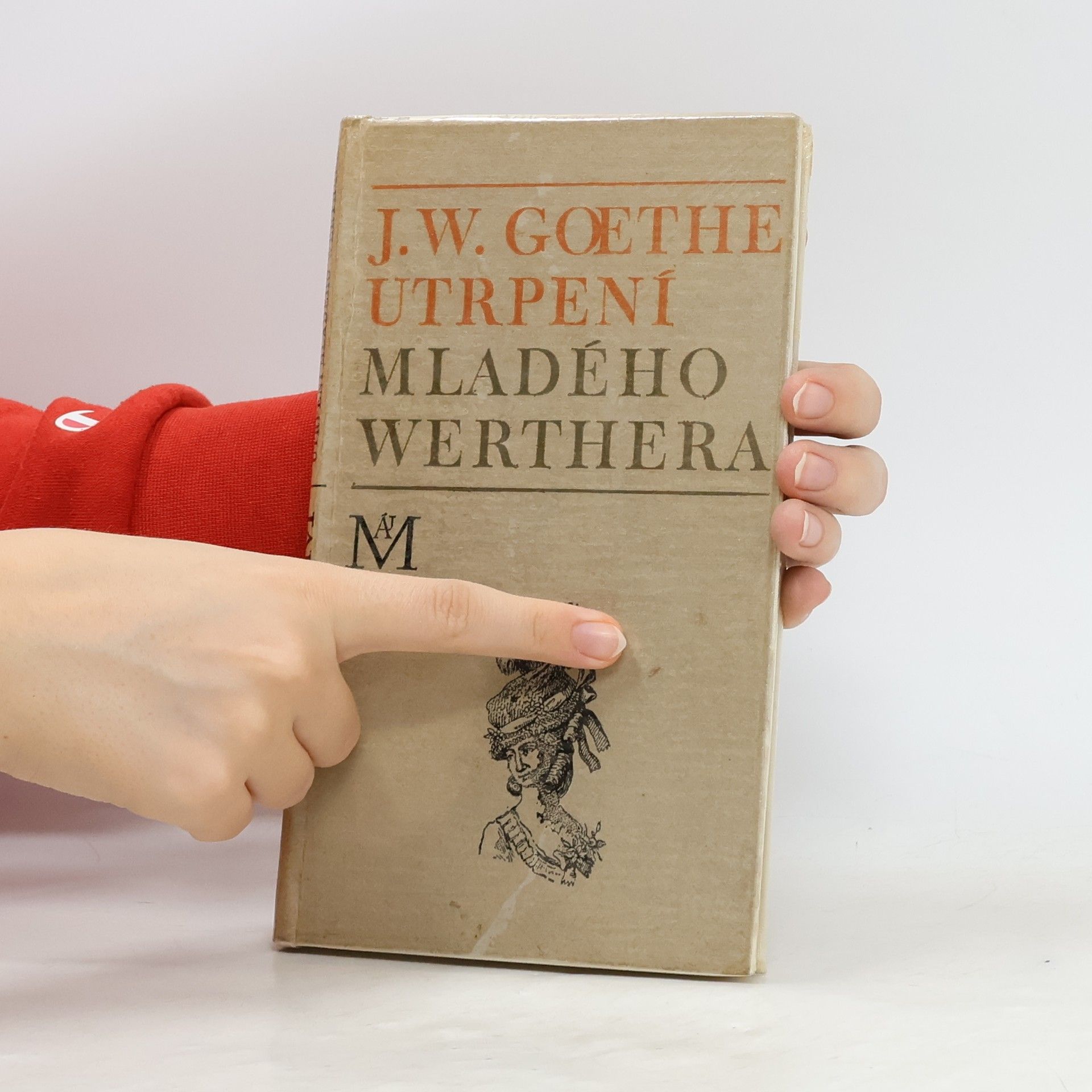 Johann Wolfgang von Goethe Utrpení mladého Werthera