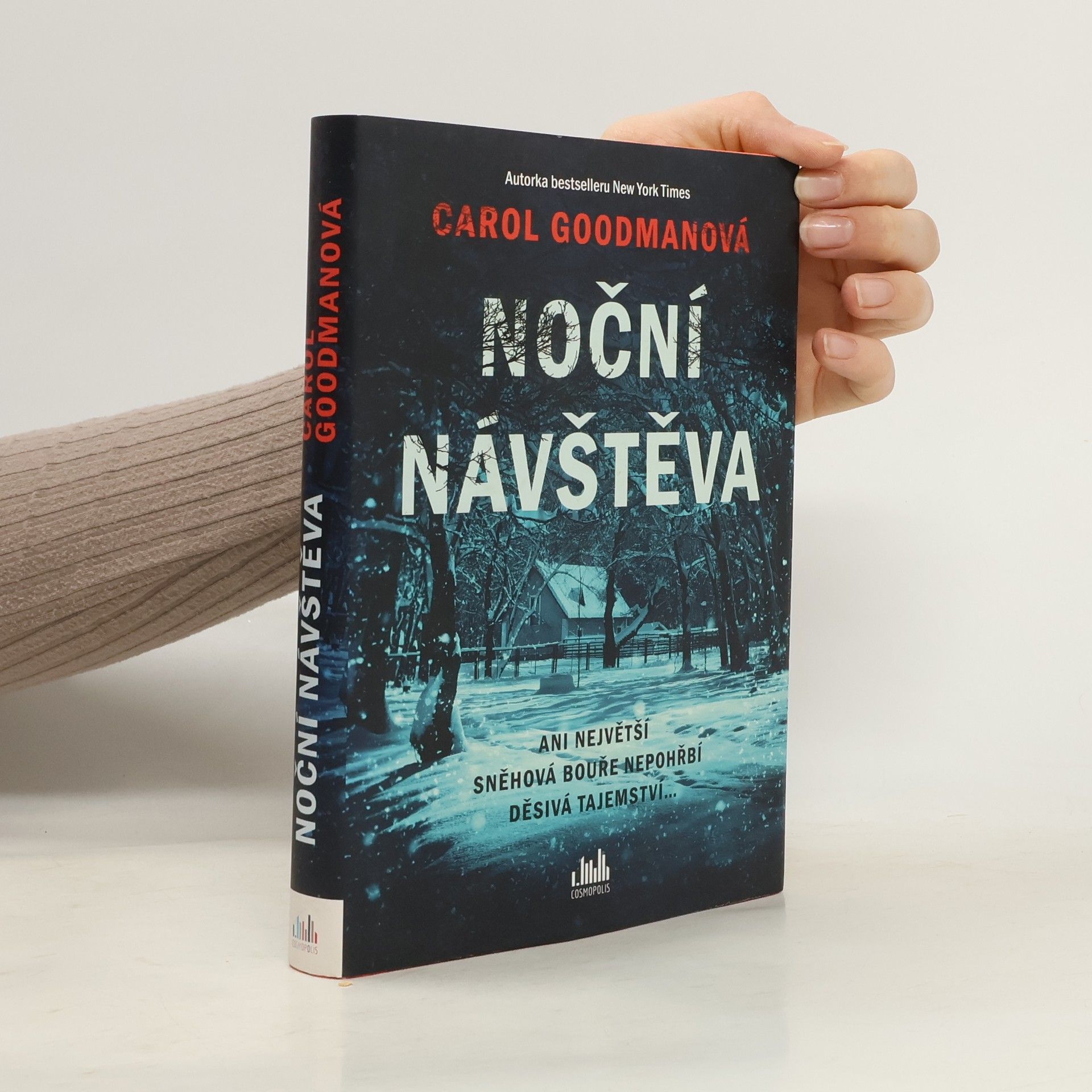 Lee Carroll Noční návštěva