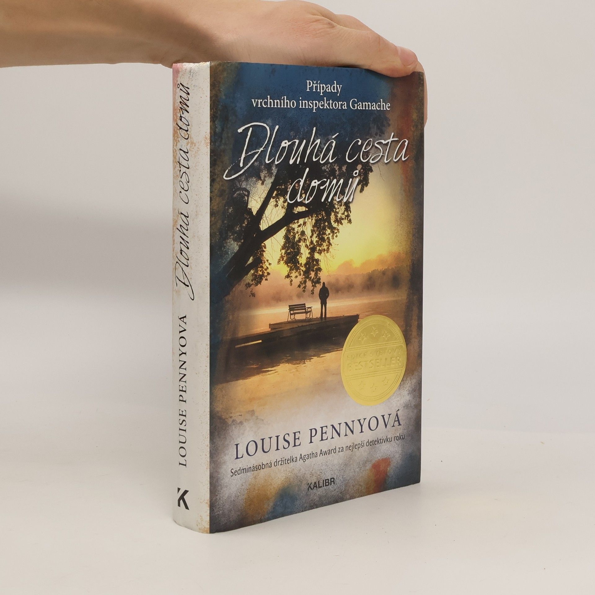 Louise Penny Dlouhá cesta domů