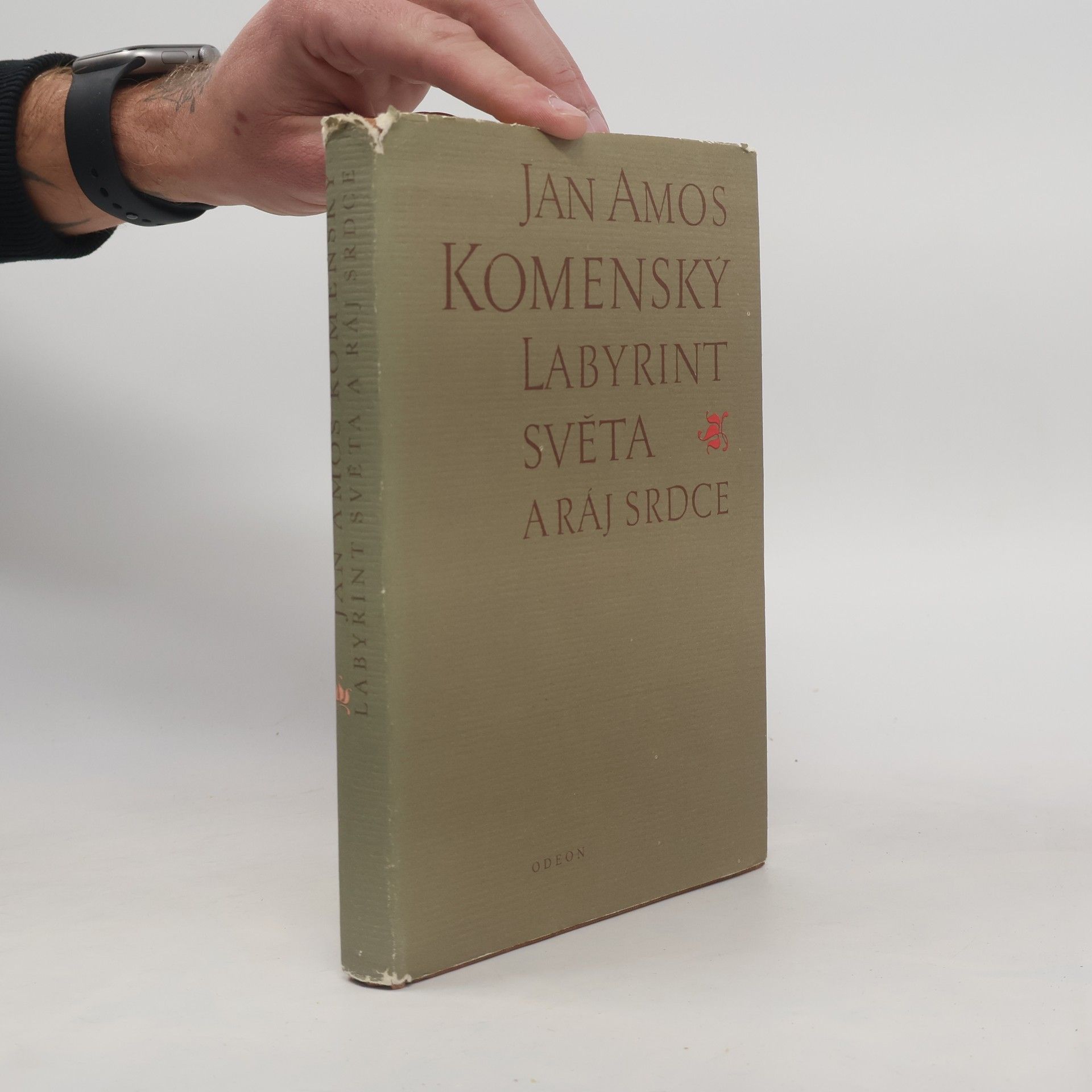 Jan Amos Komenský Labyrint světa a ráj srdce