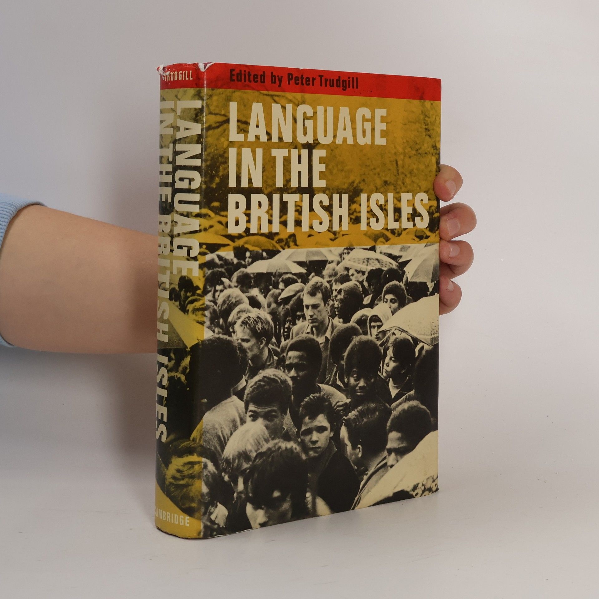 P. Trudgill Language in the British Isles