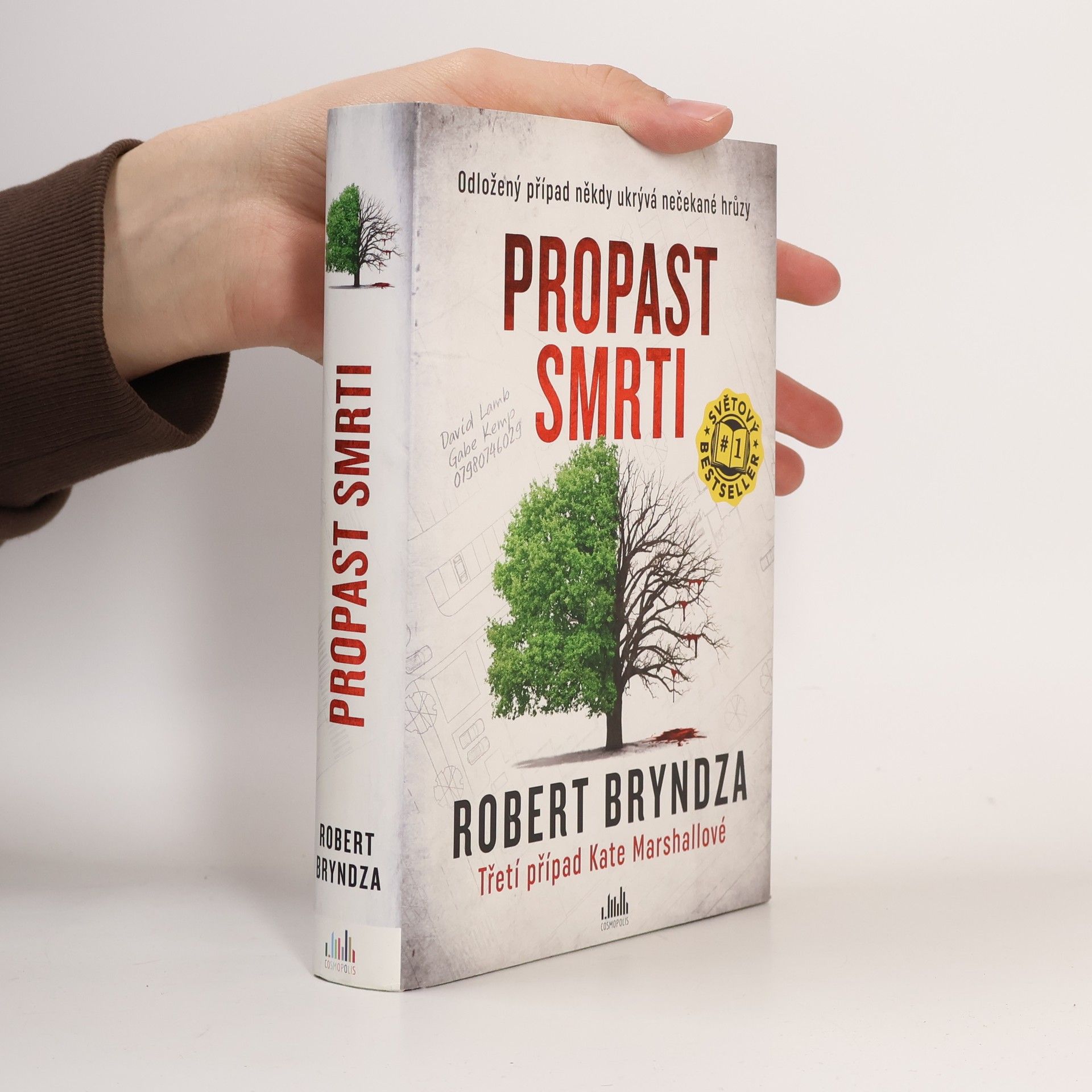 Robert Bryndza Propast smrti