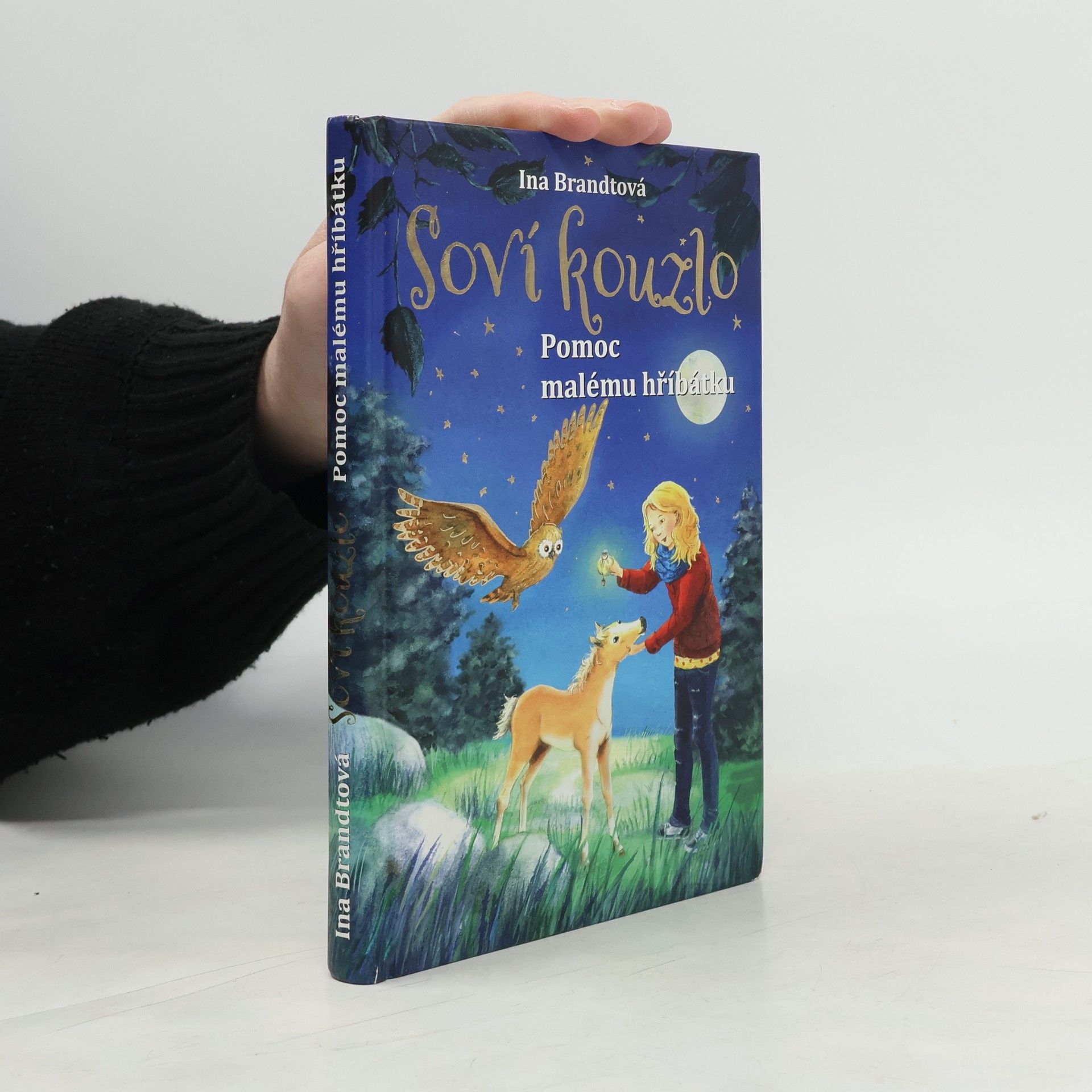 Irene Mohr Soví kouzlo. Pomoc malému hříbátku
