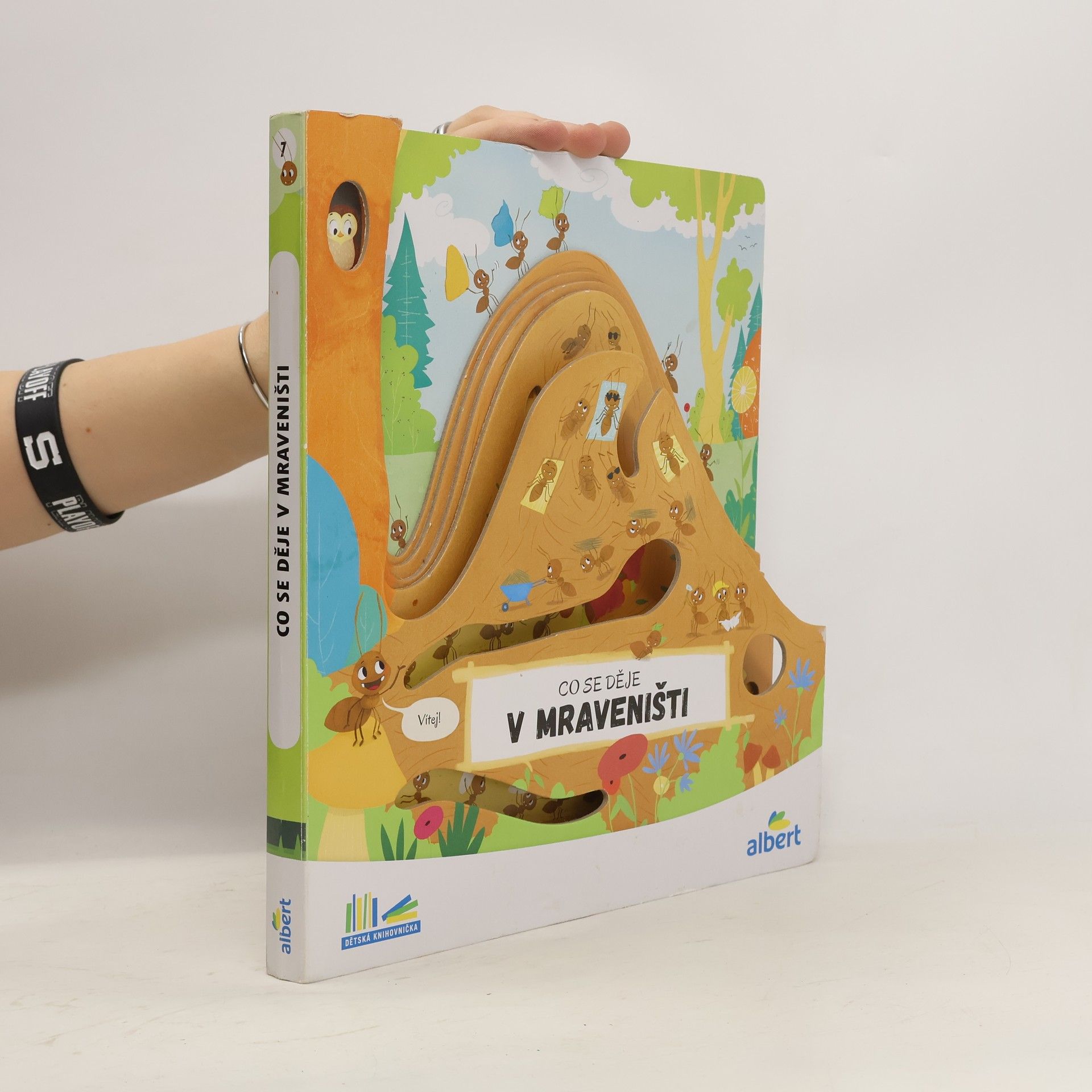 Kolektív autorov Co se děje v mraveništi