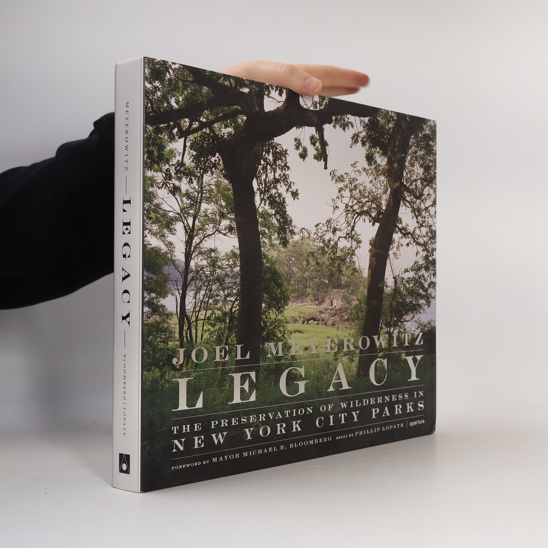 Joel Meyerowitz Legacy