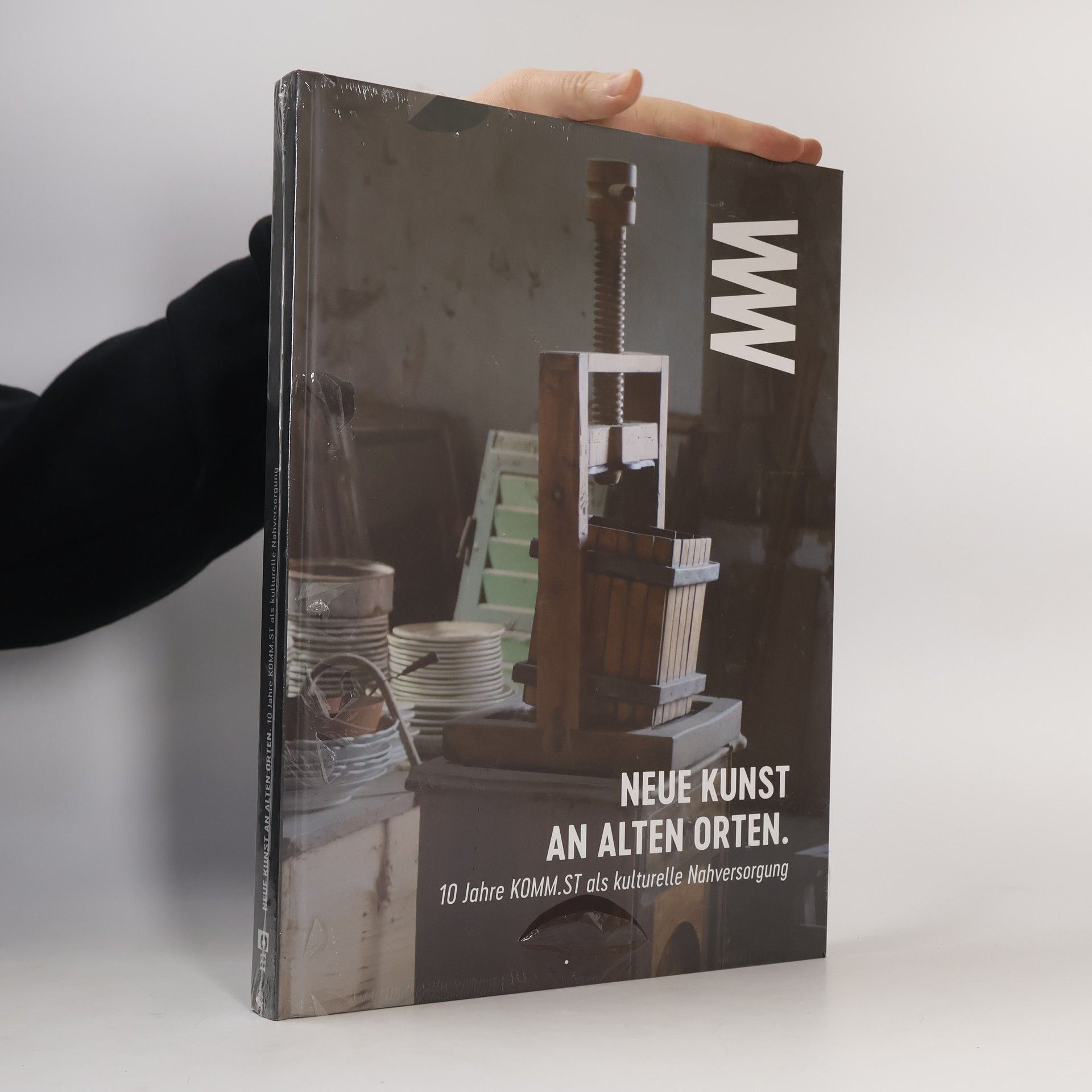 Georg Gratzer Neue Kunst an alten Orten