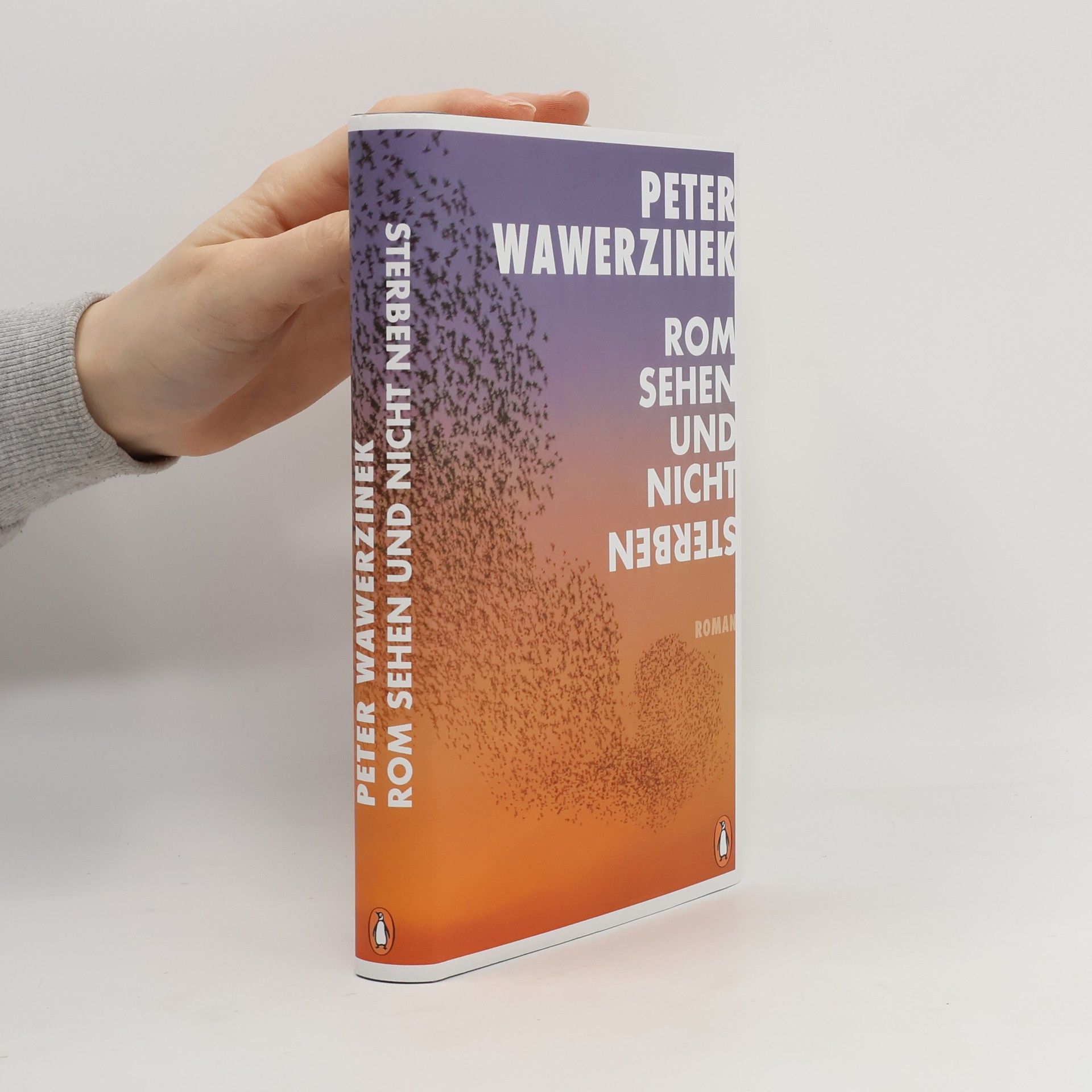Peter Wawerzinek Rom sehen - und nicht sterben