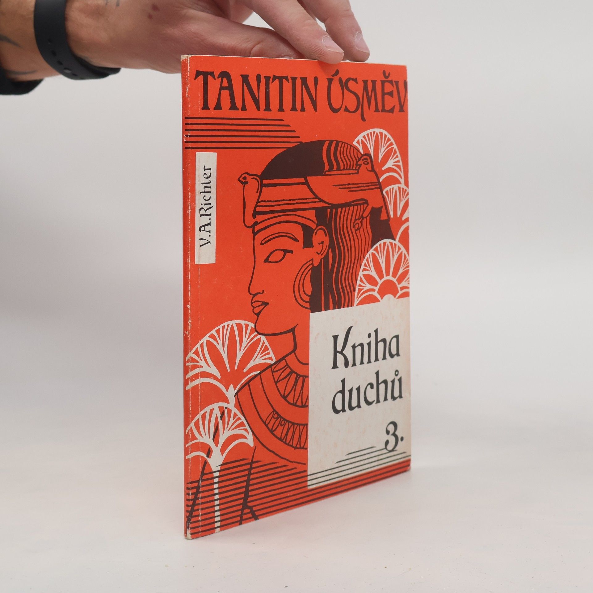 Kniha duchů 3. Tanitin úsměv