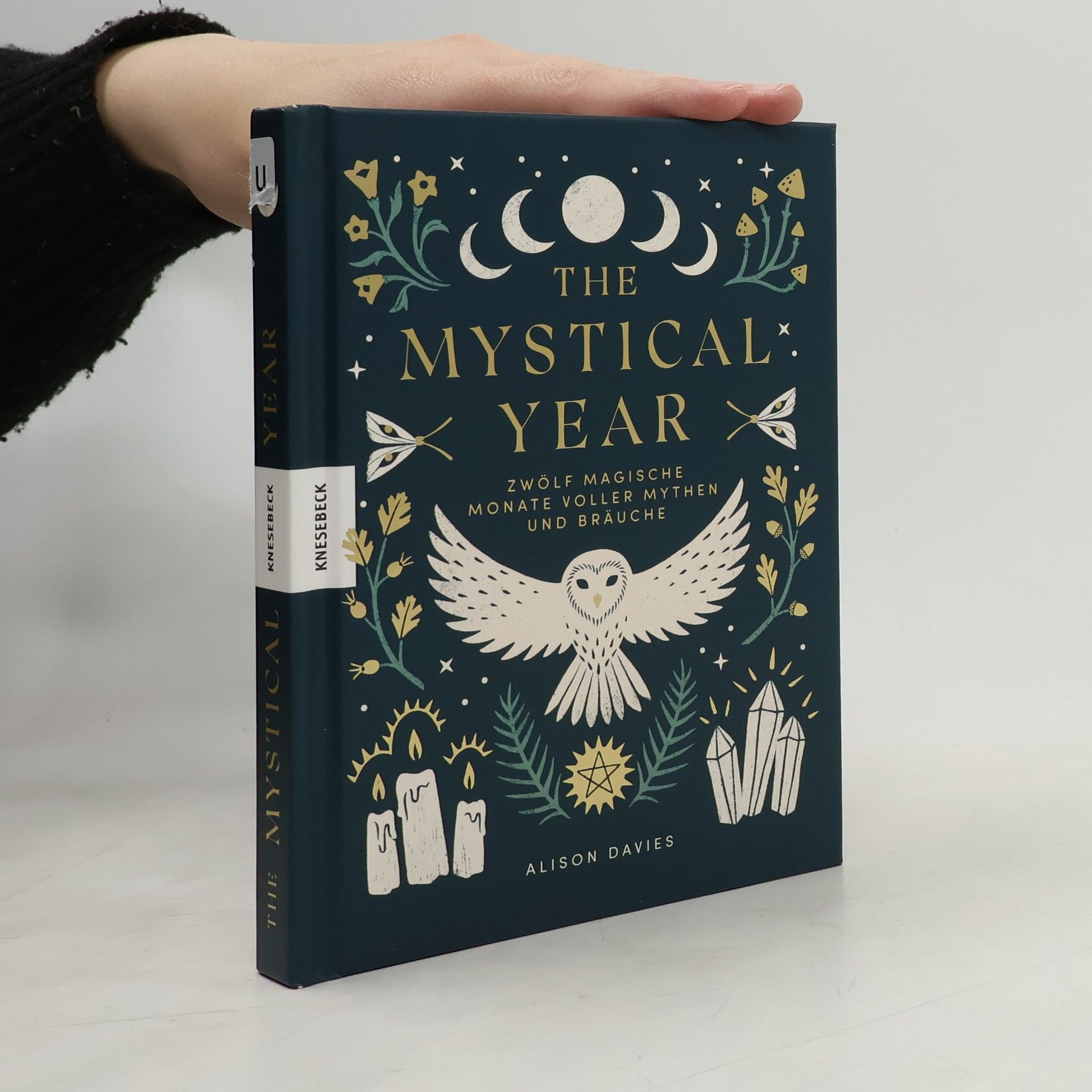 Alison Davies The Mystical Year