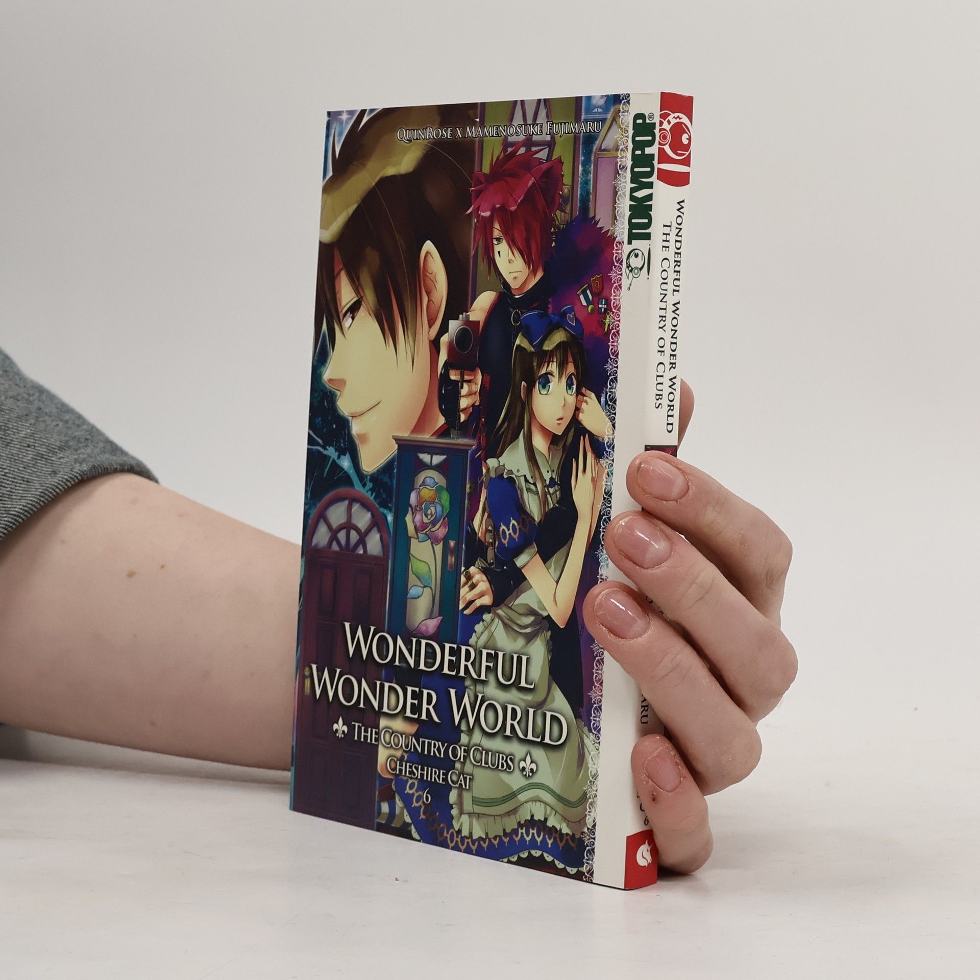 Kolektiv autorů Wonderful wonder world - the country of clubs