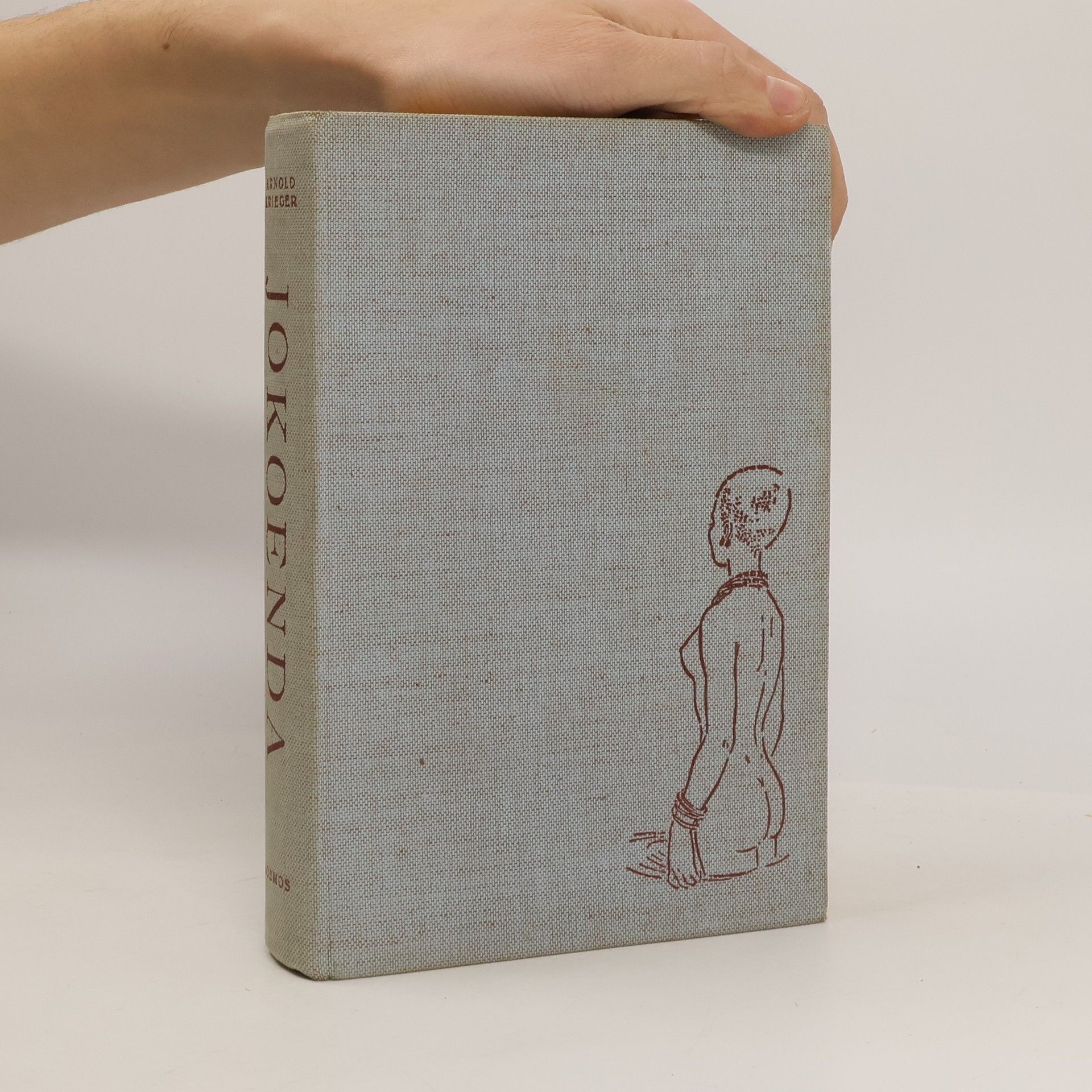 Arnold Krieger Jokoenda het zwarte licht