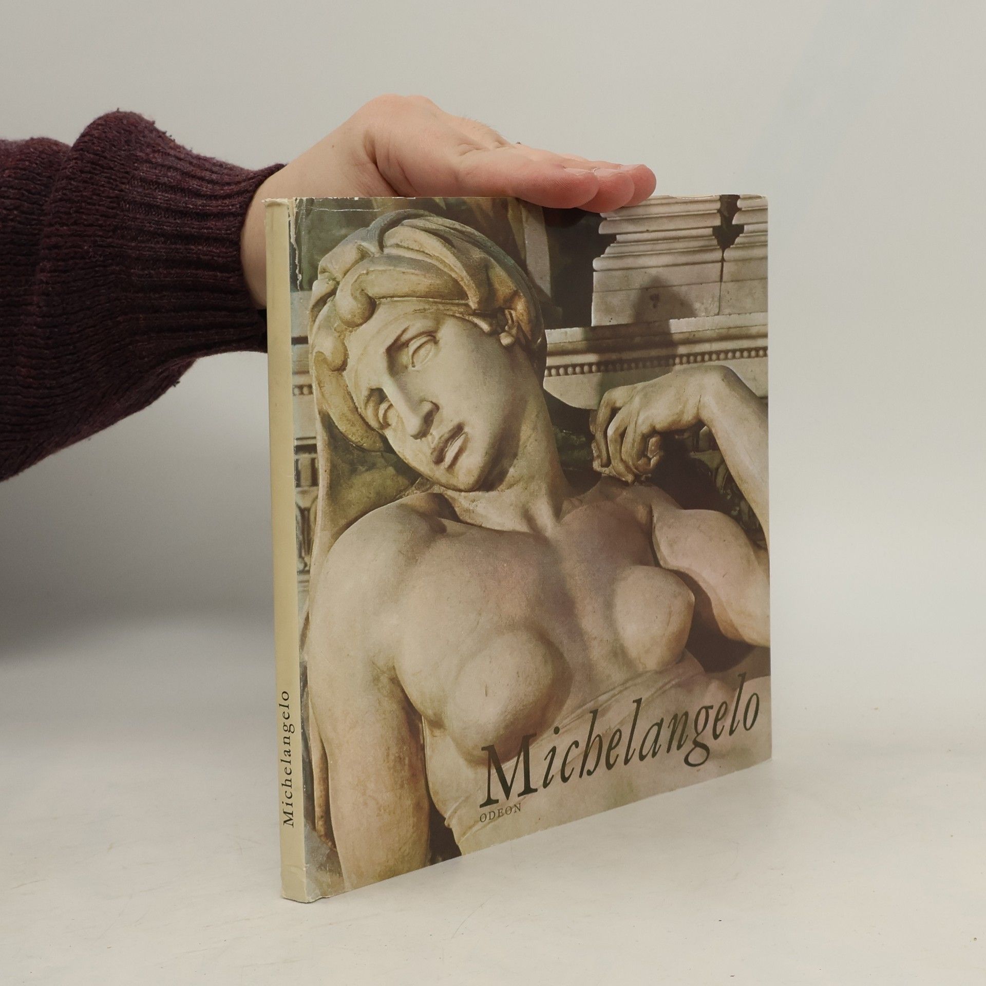Oldřich J. Blažíček Michelangelo