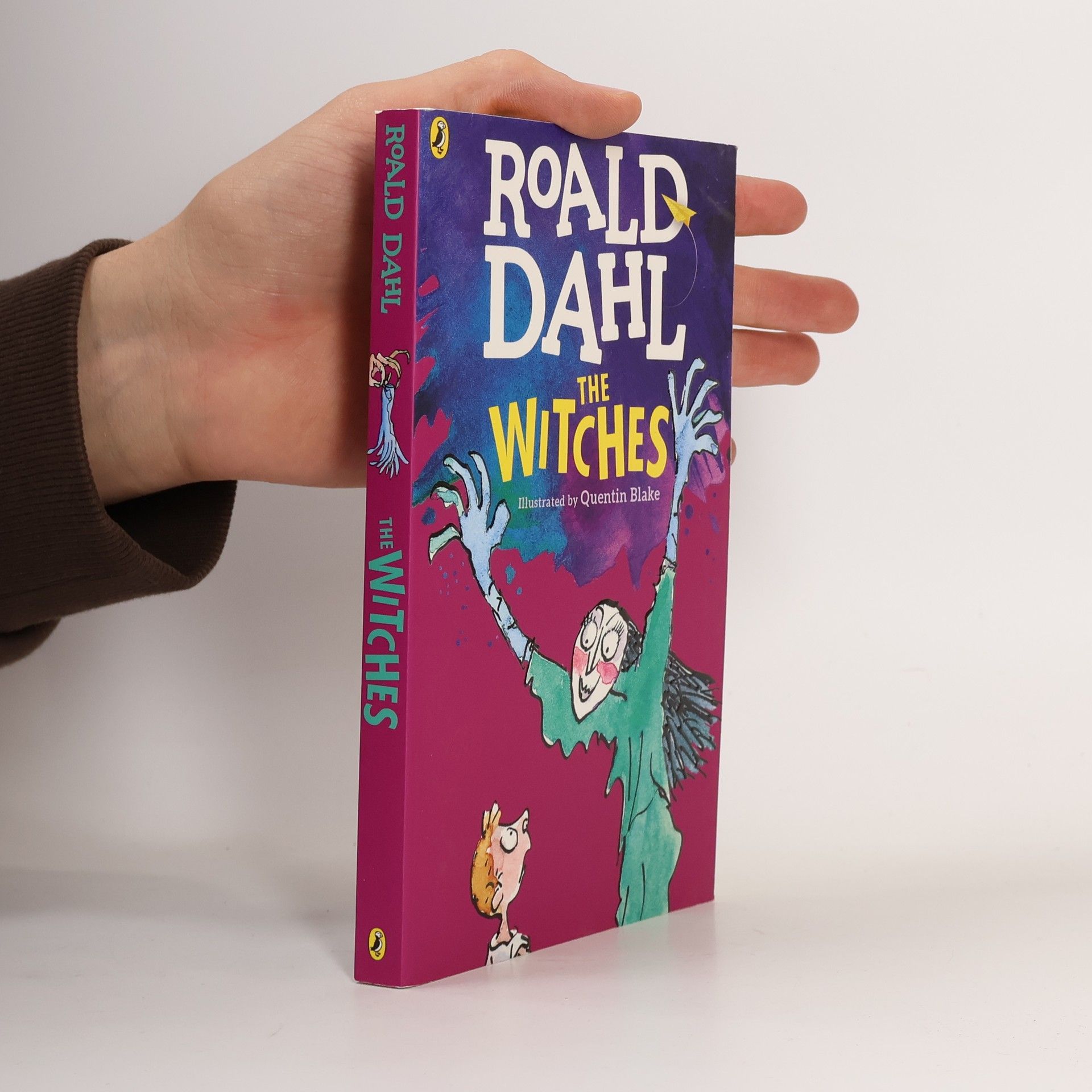 Roald Dahl The Witches