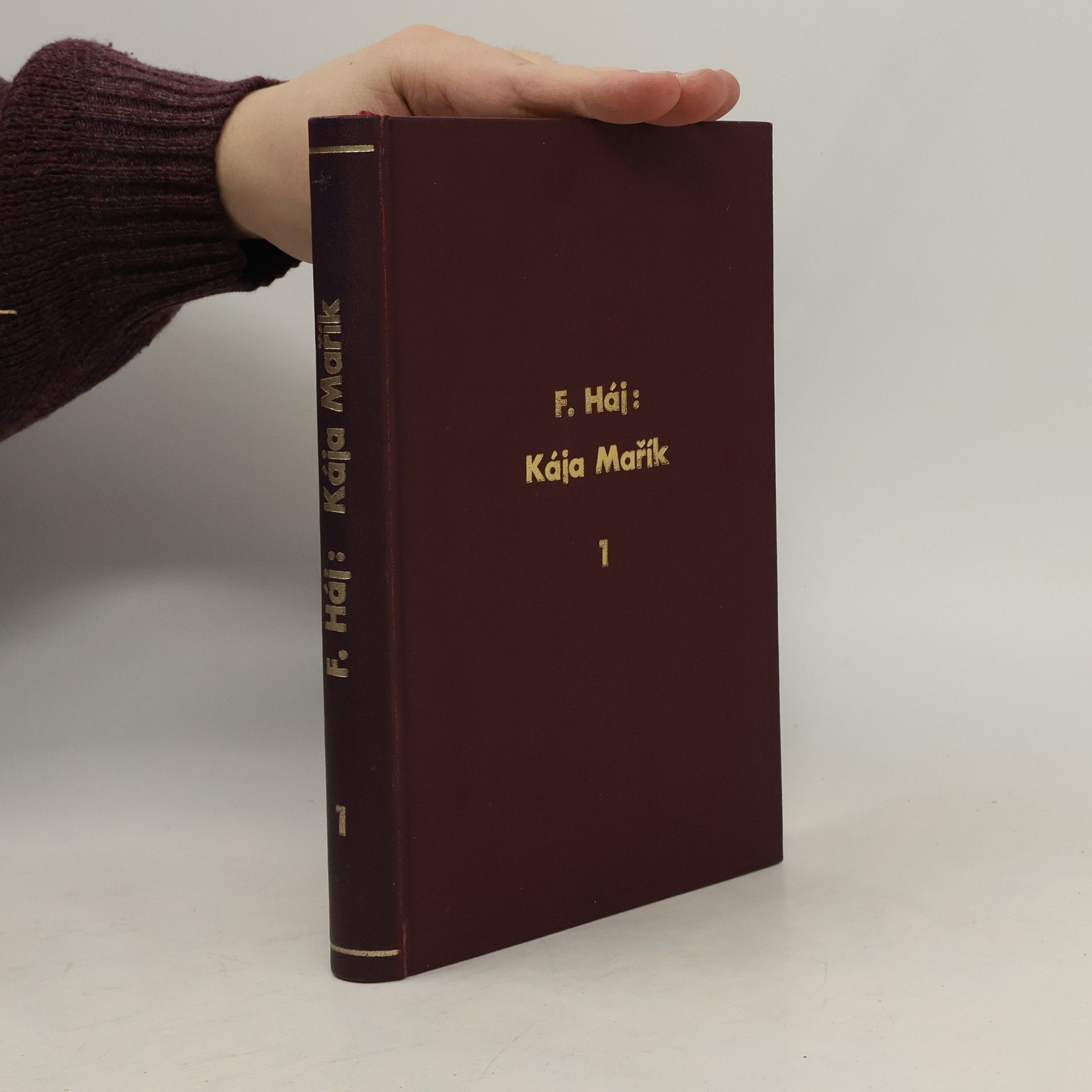 Felix Háj Kája Mařík 1