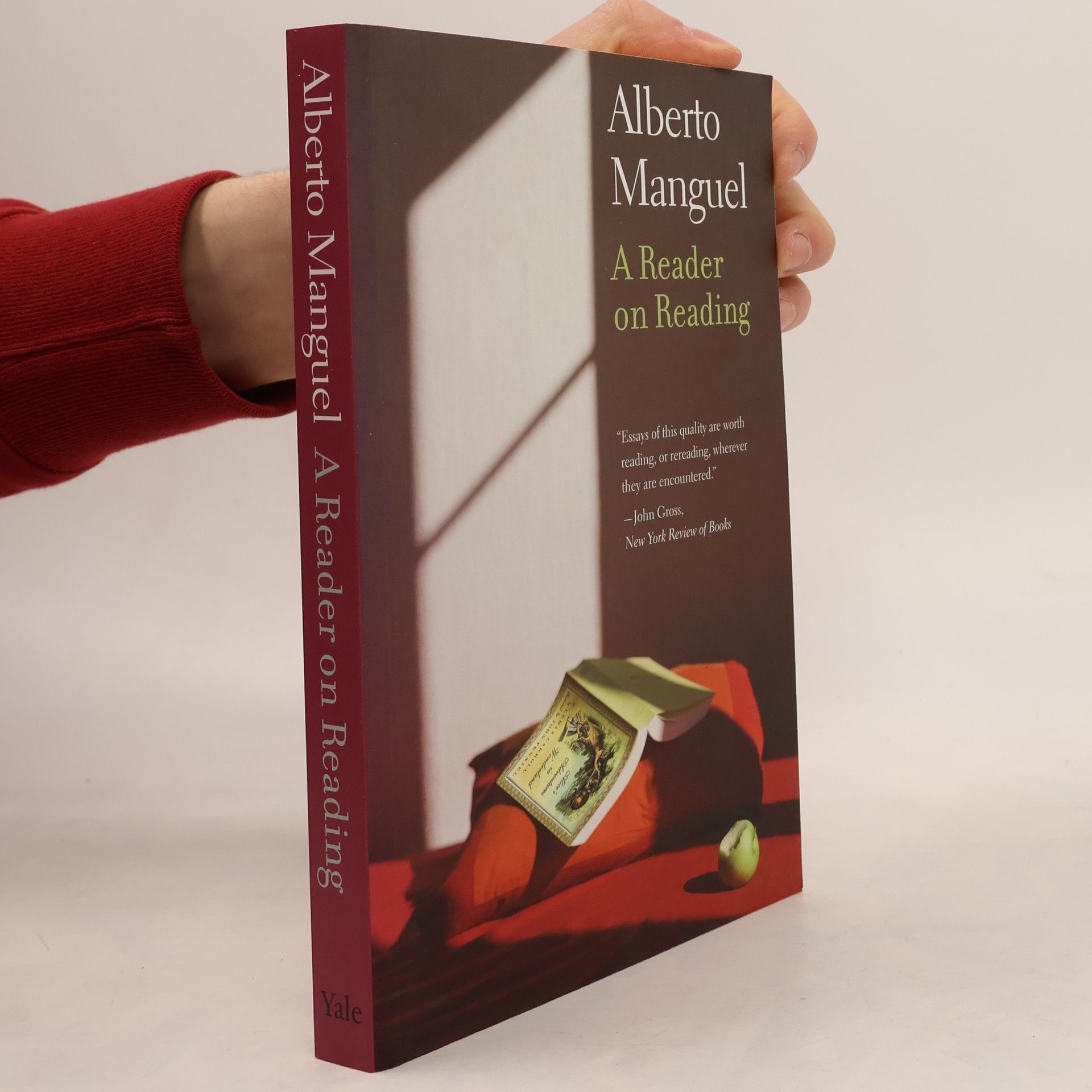 Alberto Manguel A Reader on Reading