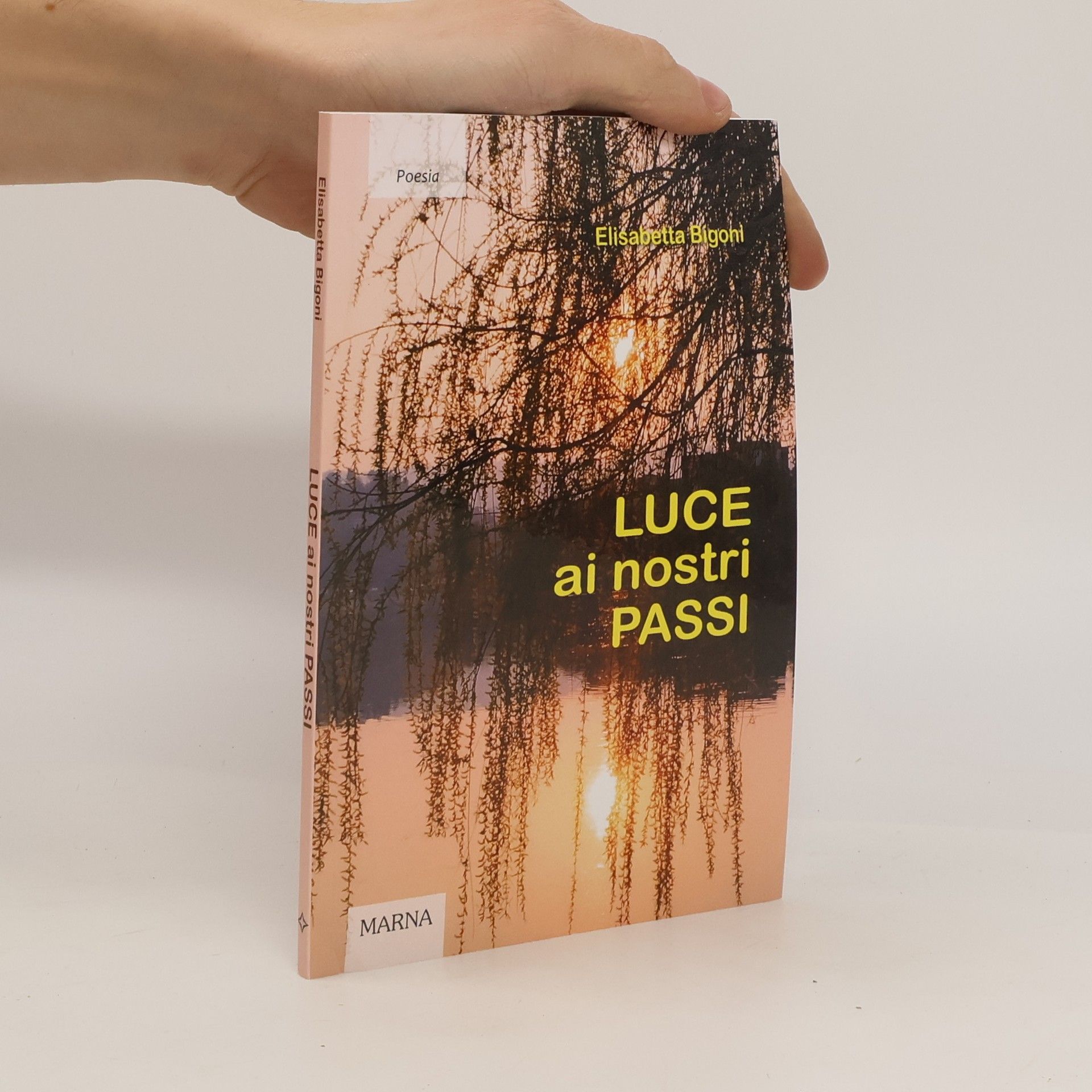 Elisabetta Bigoni Tracce: Luce ai nostri passi