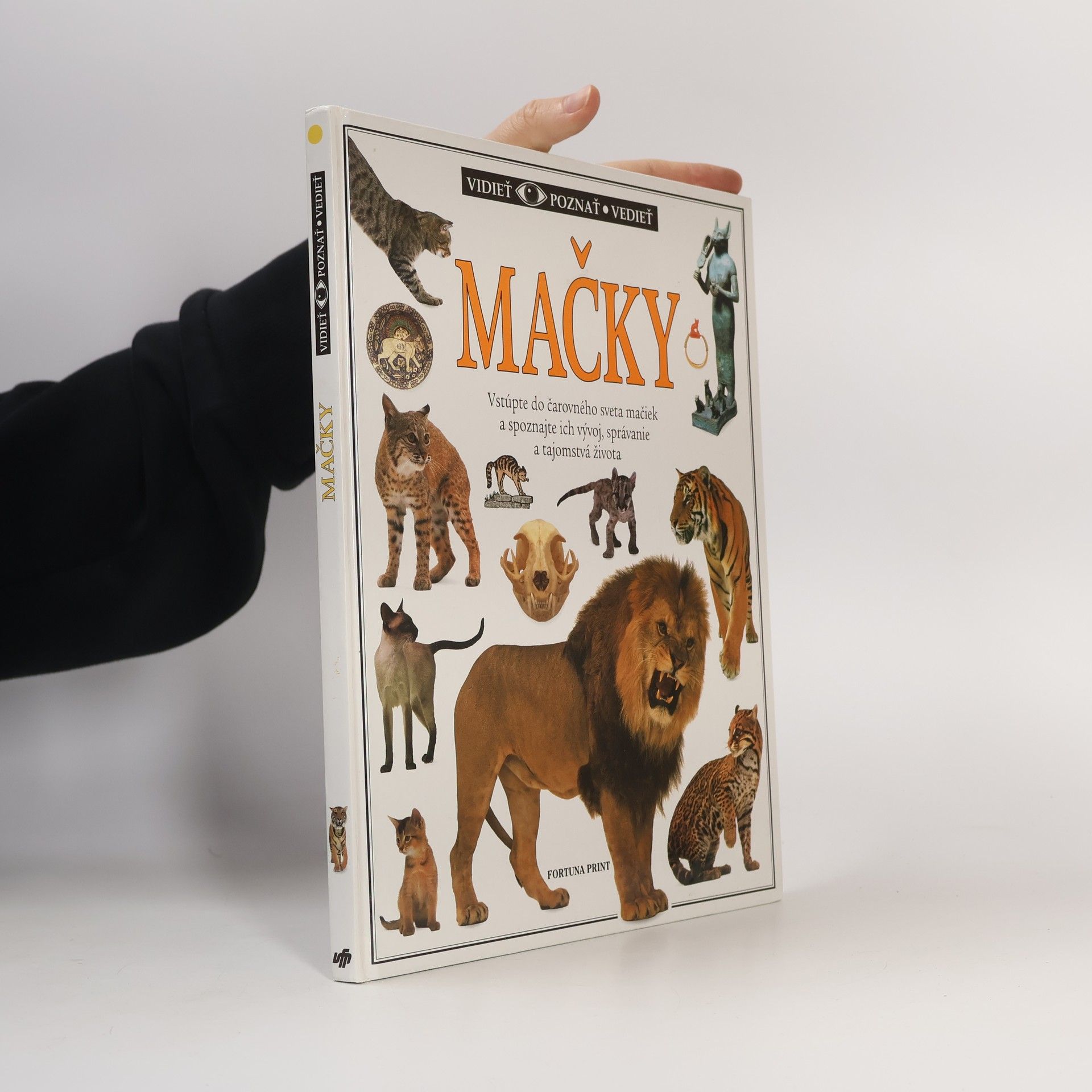 Juliet Clutton-Brock Mačky