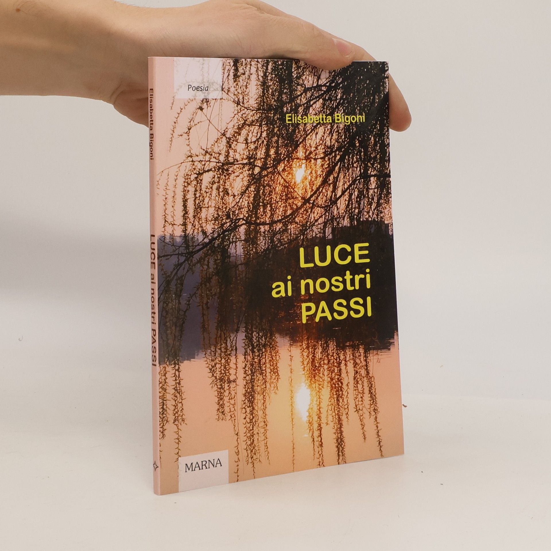 Elisabetta Bigoni Tracce: Luce ai nostri passi