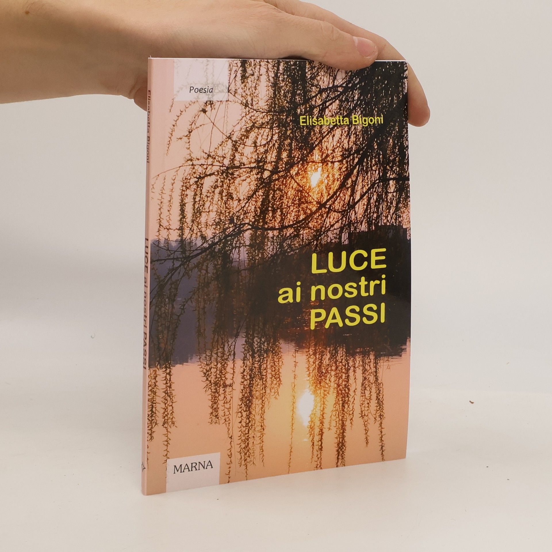 Elisabetta Bigoni Tracce: Luce ai nostri passi