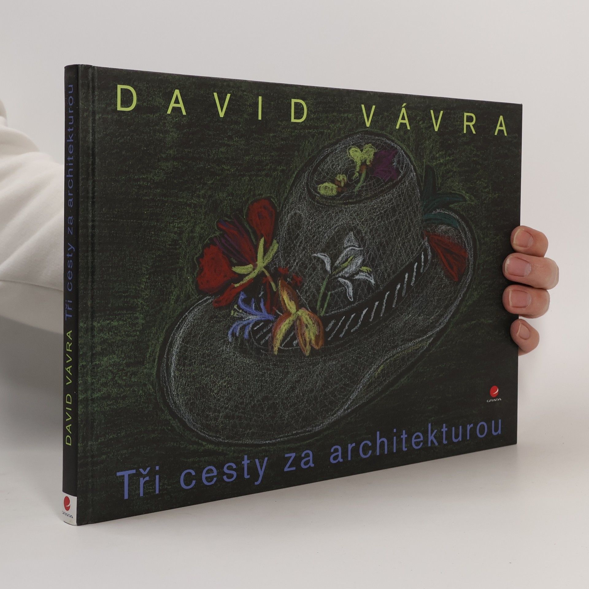 David Vávra Tři cesty za architekturou