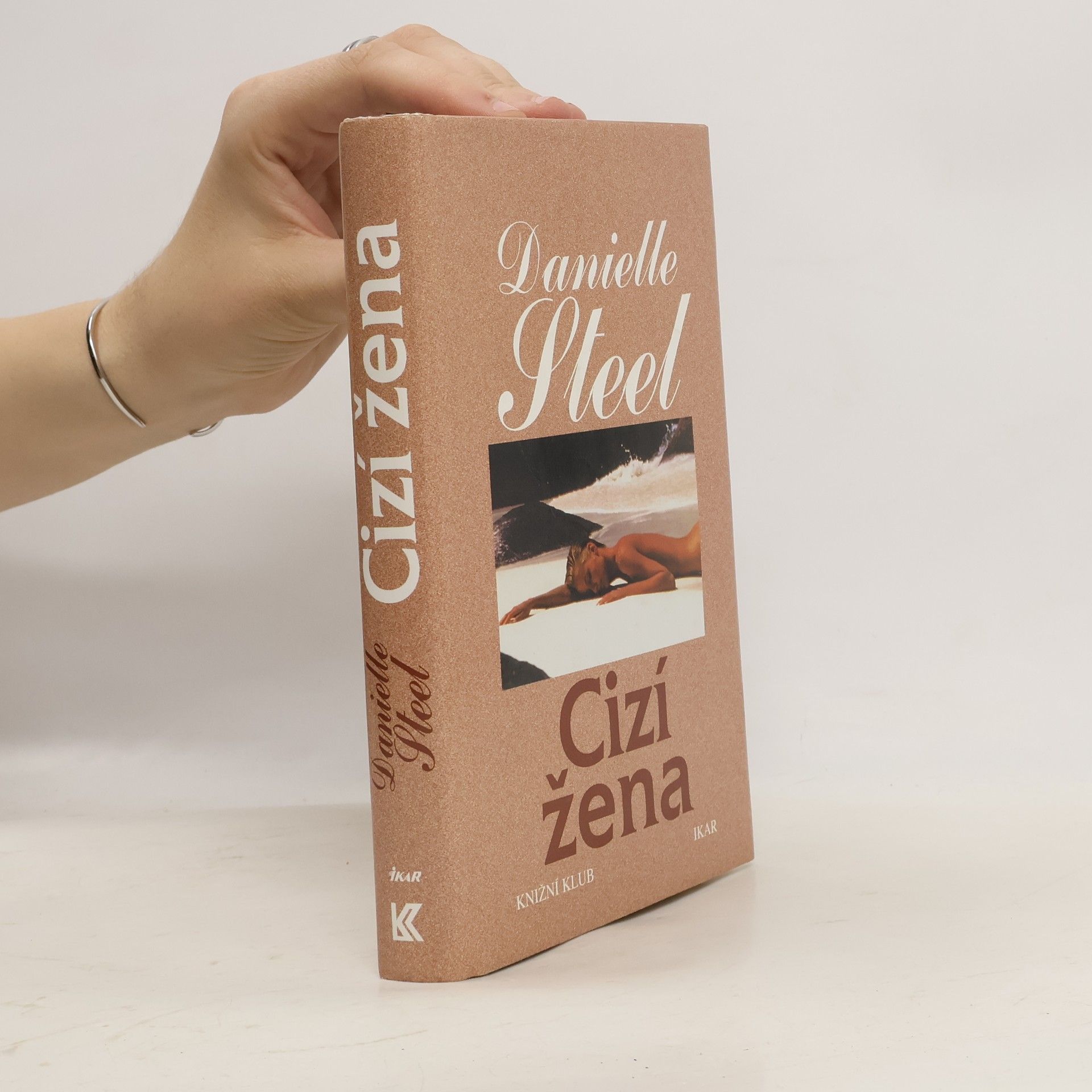 Danielle Steel Cizí žena
