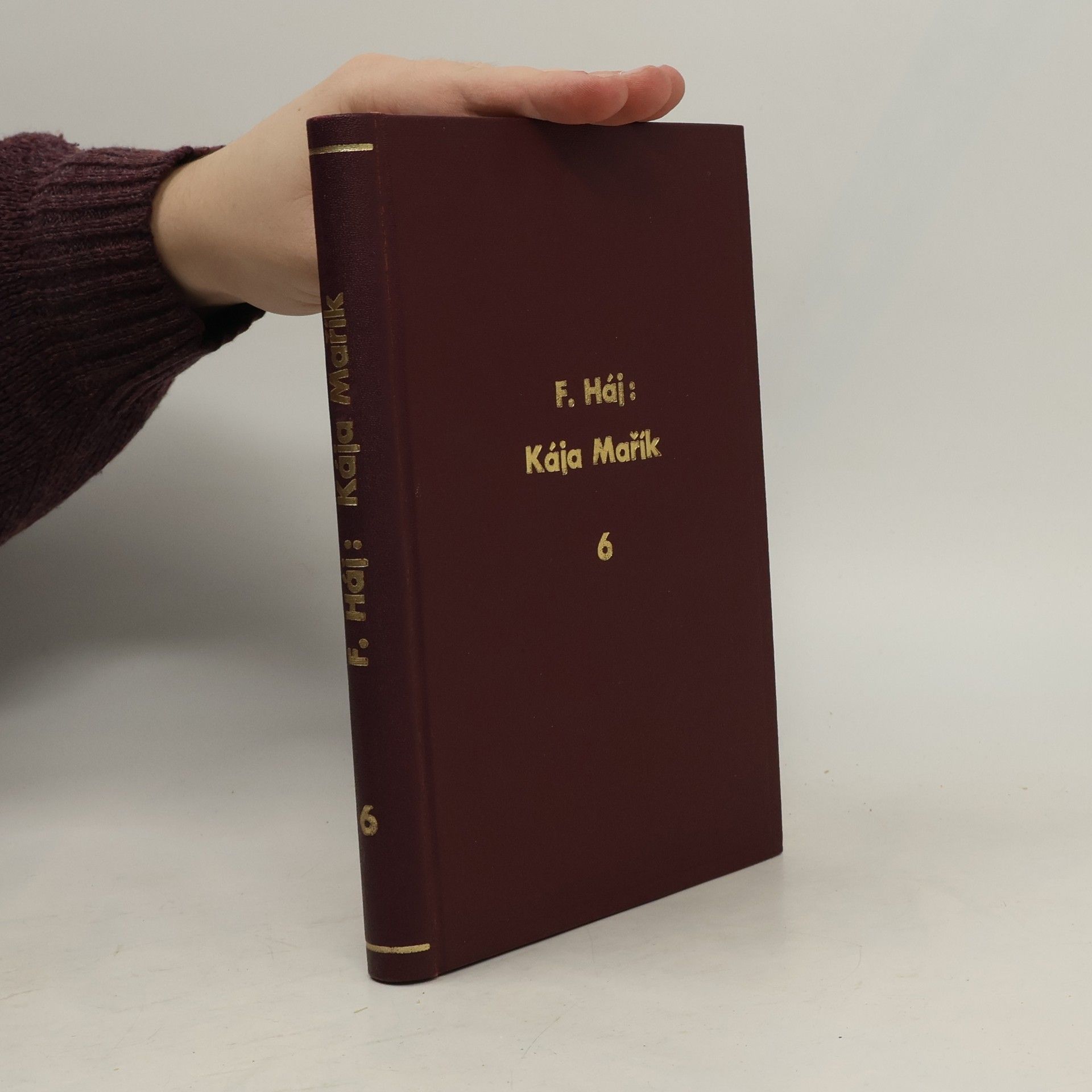 Felix Háj Kája Mařík 6