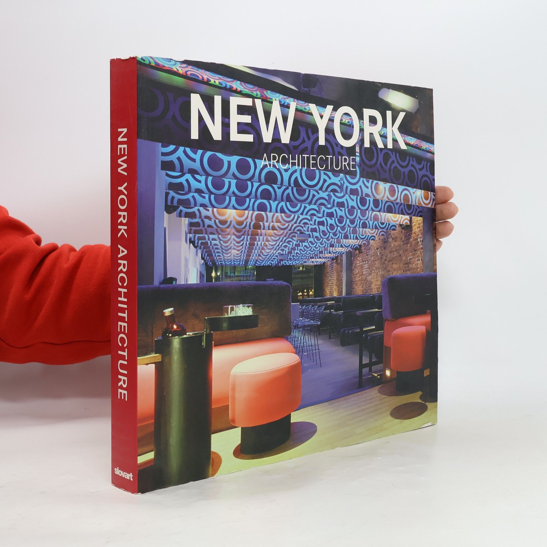 Mariana Eguaras Etchetto New York Architecture