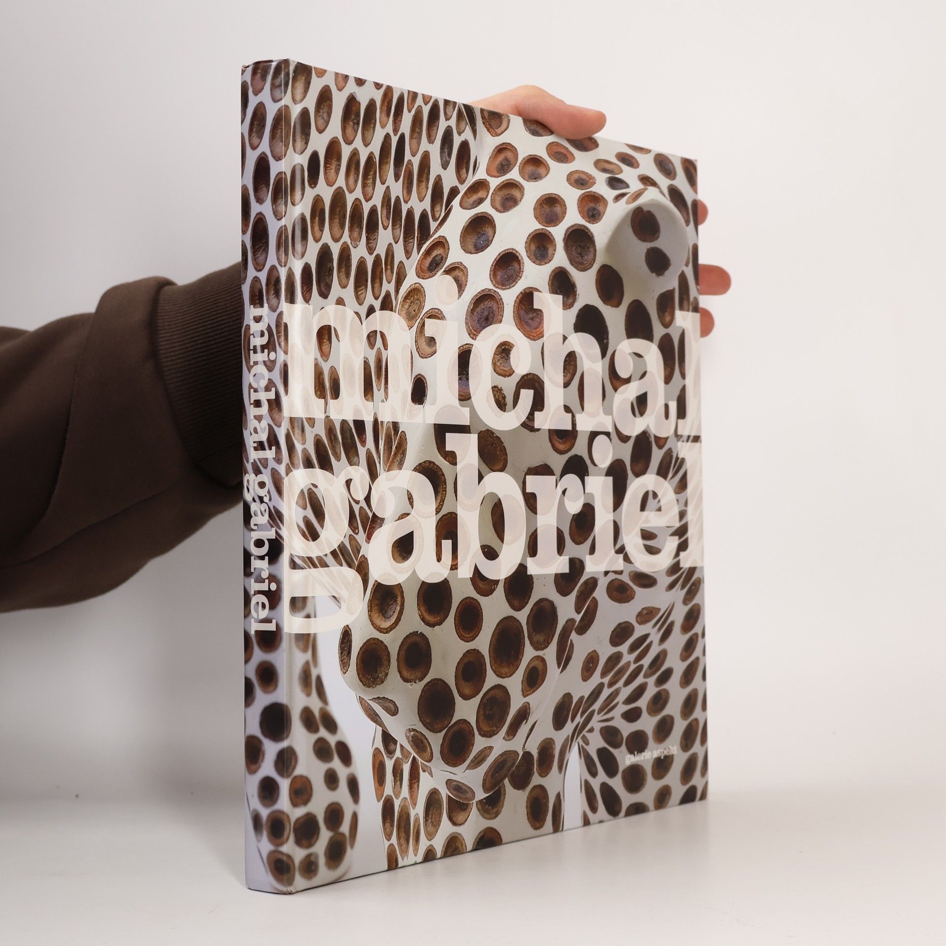 Collectif d'auteurs Michal Gabriel