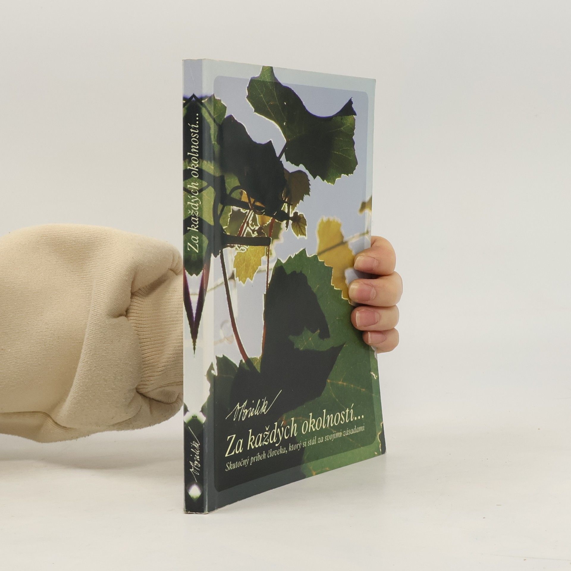 Vendelín Bielik Za každých okolností