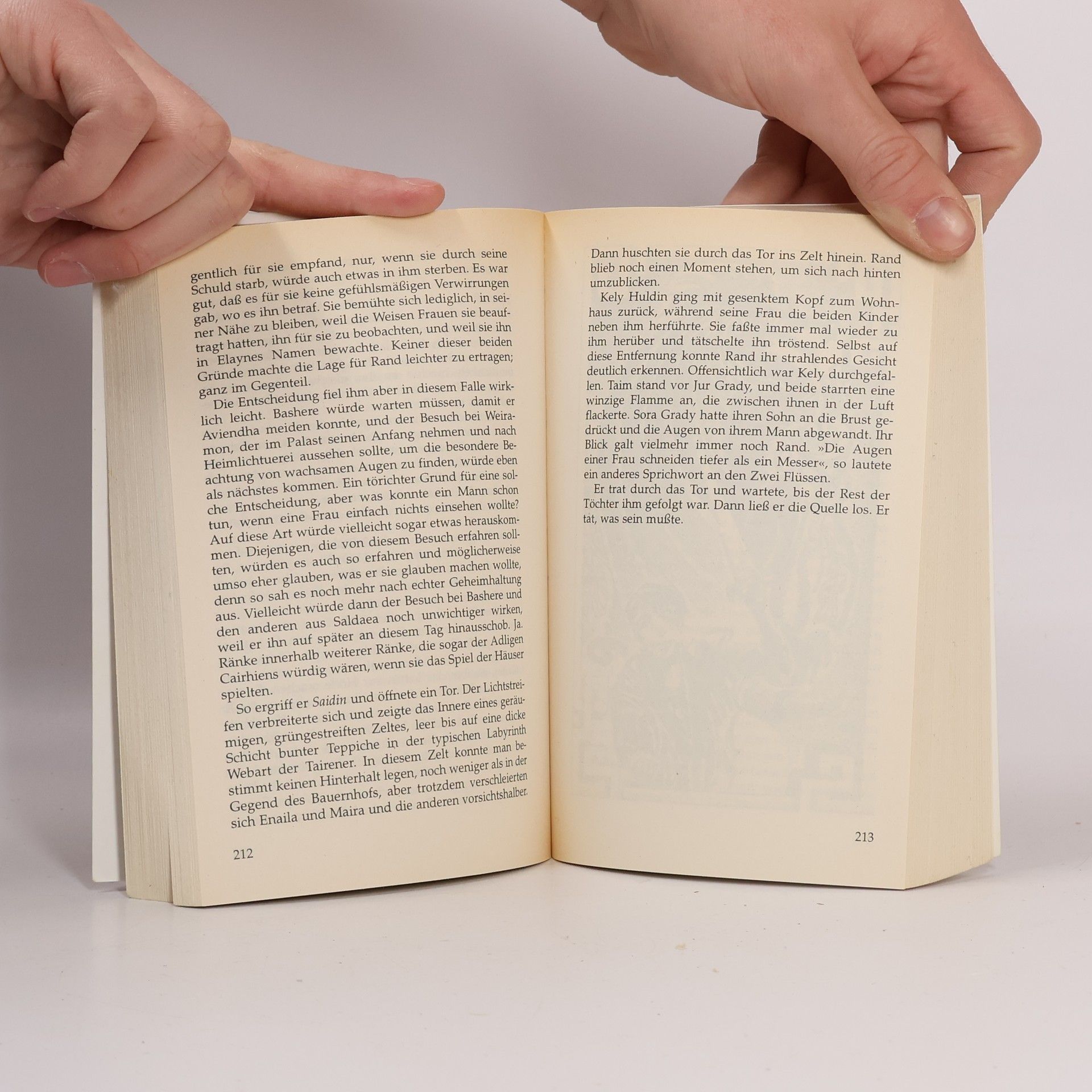 Robert Jordan Die Fühler des Chaos