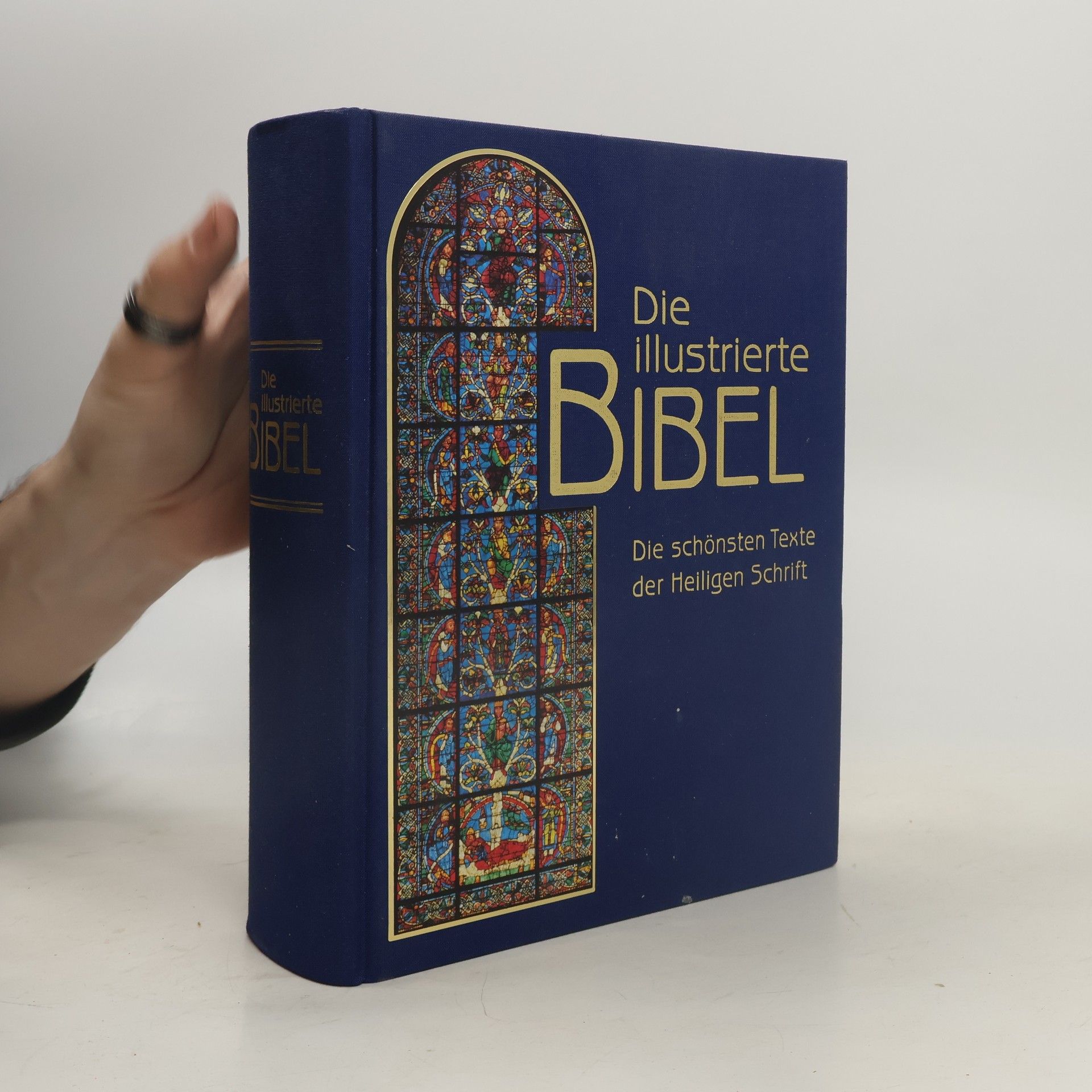 Falko Spiller Die illustrierte Bibel