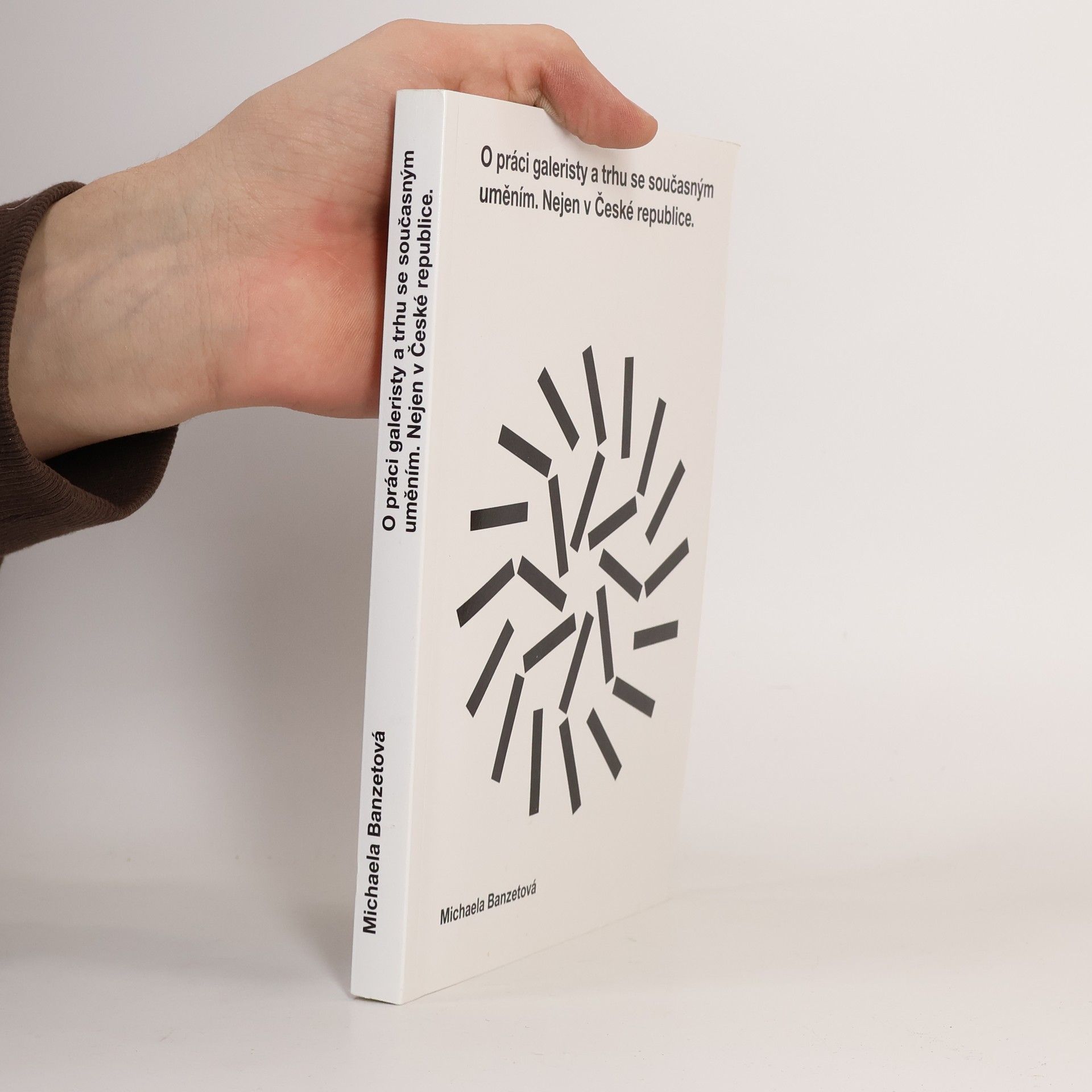 Michaela Banzetová O práci galeristy a trhu se současným uměním. Nejen v České republice.
