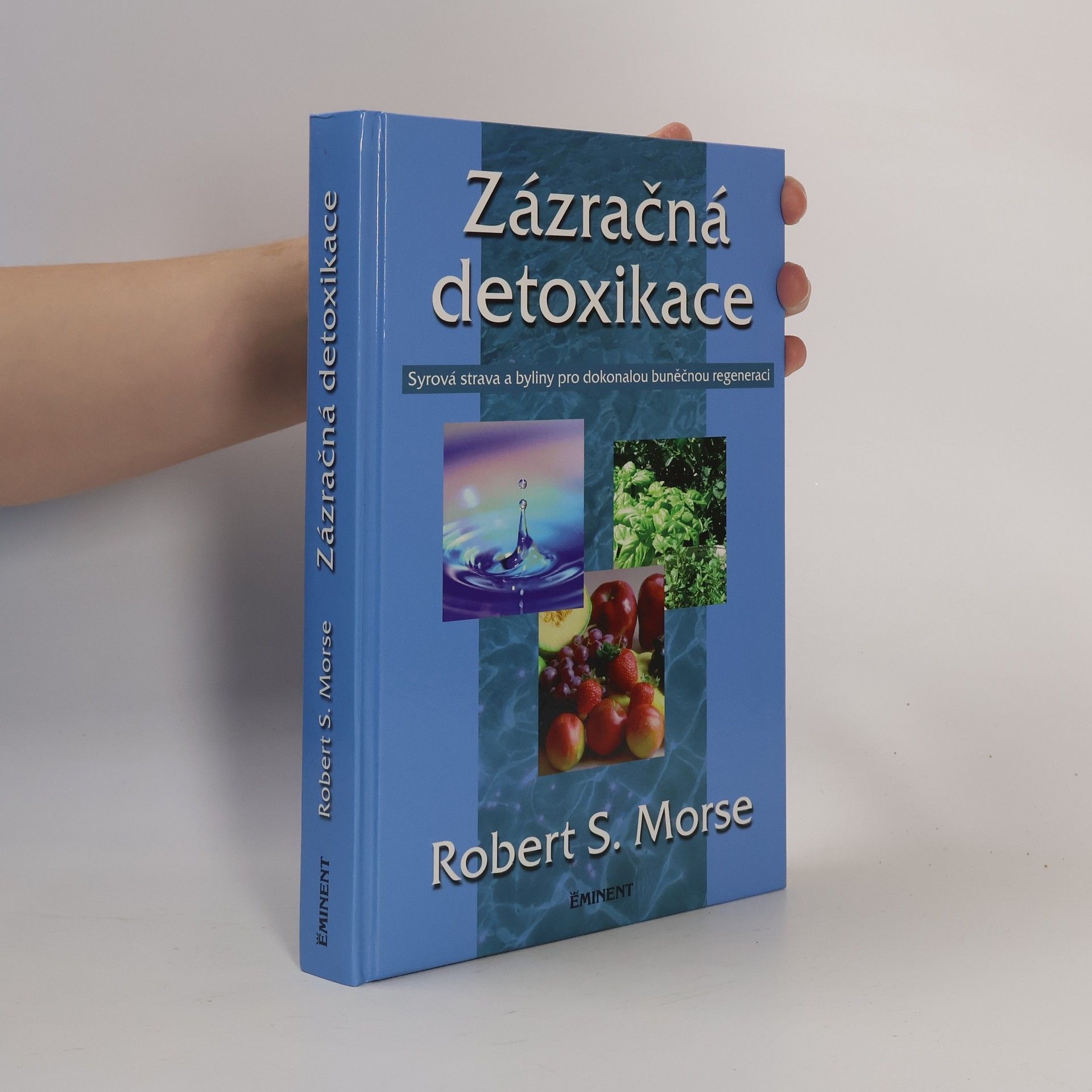 Robert Morse Zázračná detoxikace