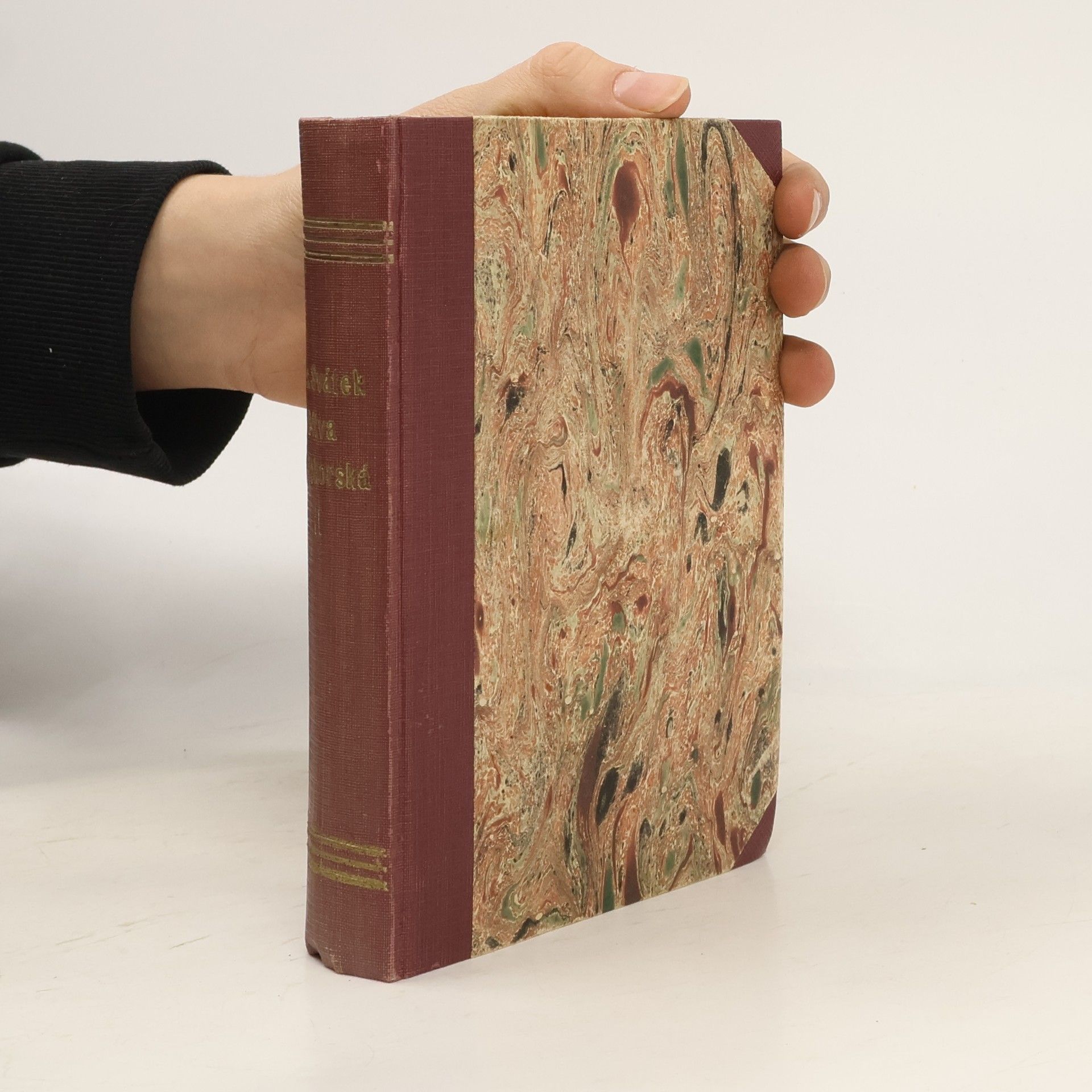 Bitva bělohorská II