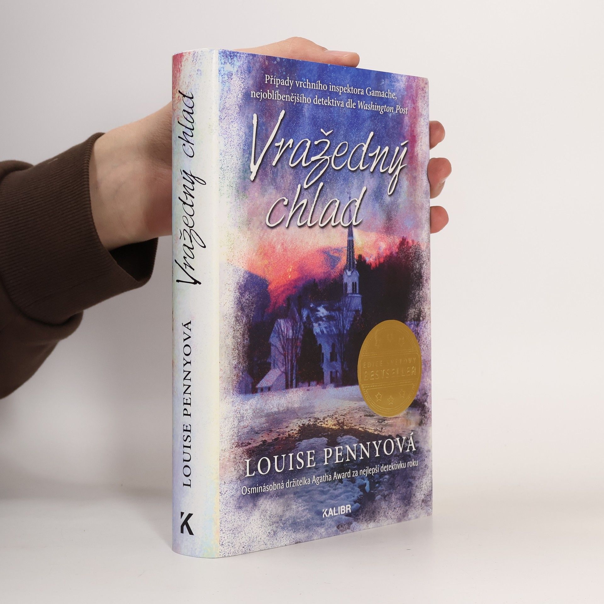 Louise Penny Vražedný chlad