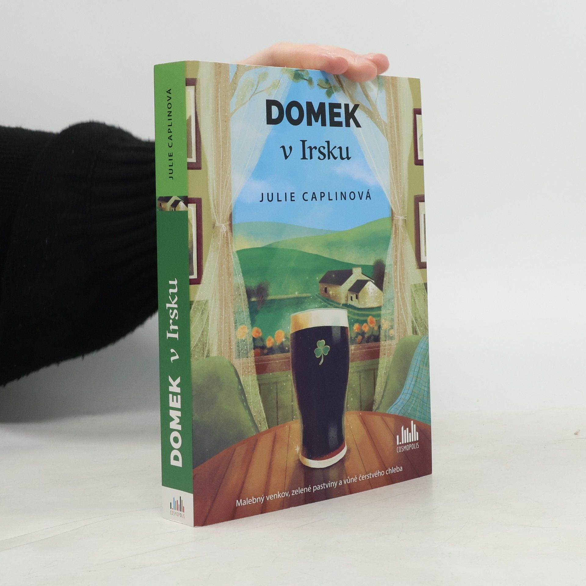 Julie Caplin Domek v Irsku
