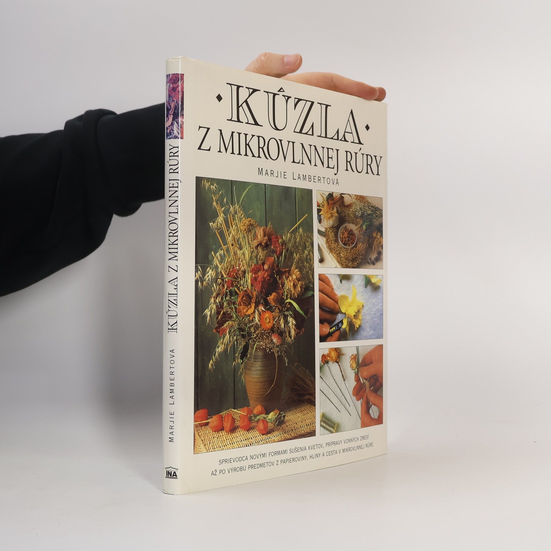 Marjie Lambert Kúzla z mikrovlnnej rúry