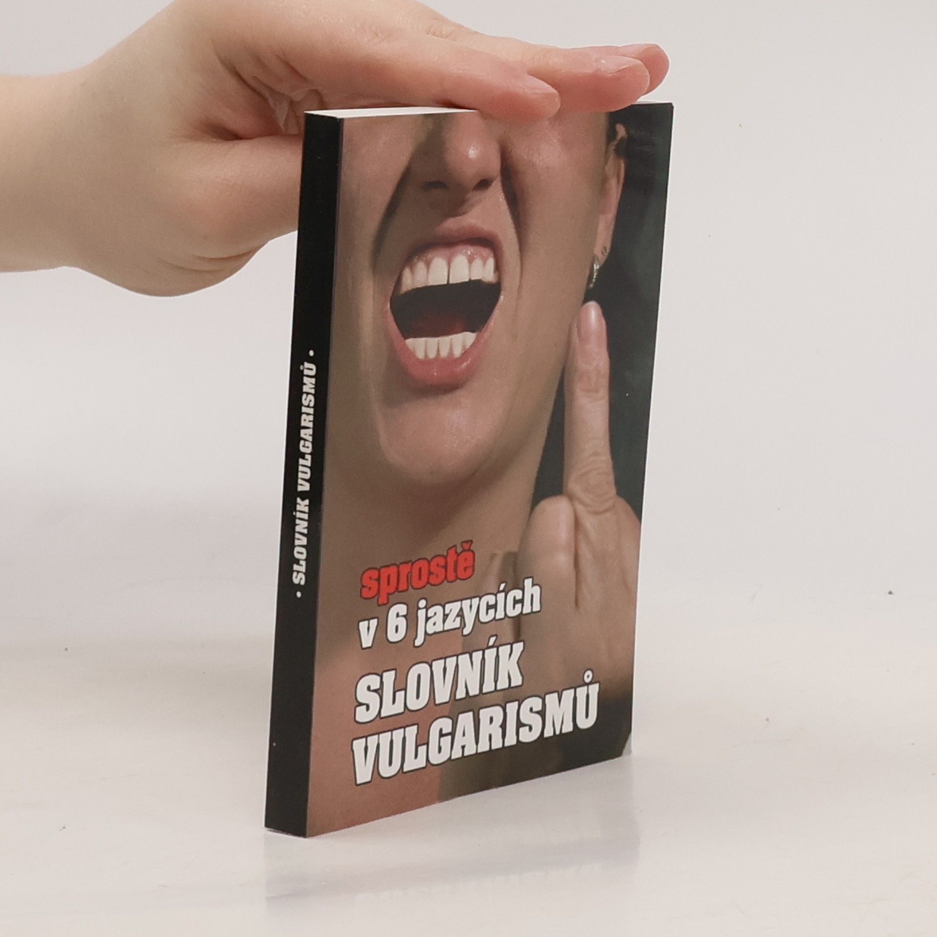 Kryštof Bajger Slovník vulgarismů : sprostě v 6 jazycích