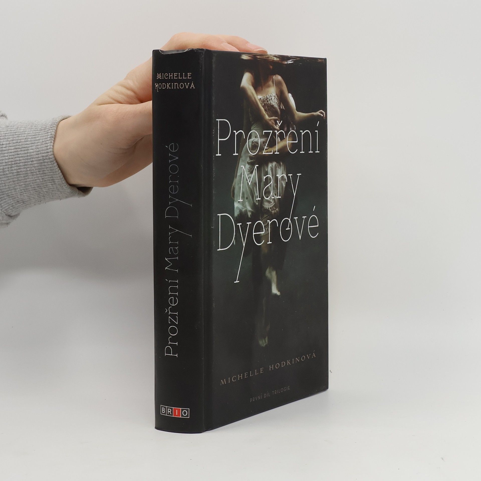 Michelle Hodkin Prozření Mary Dyerové